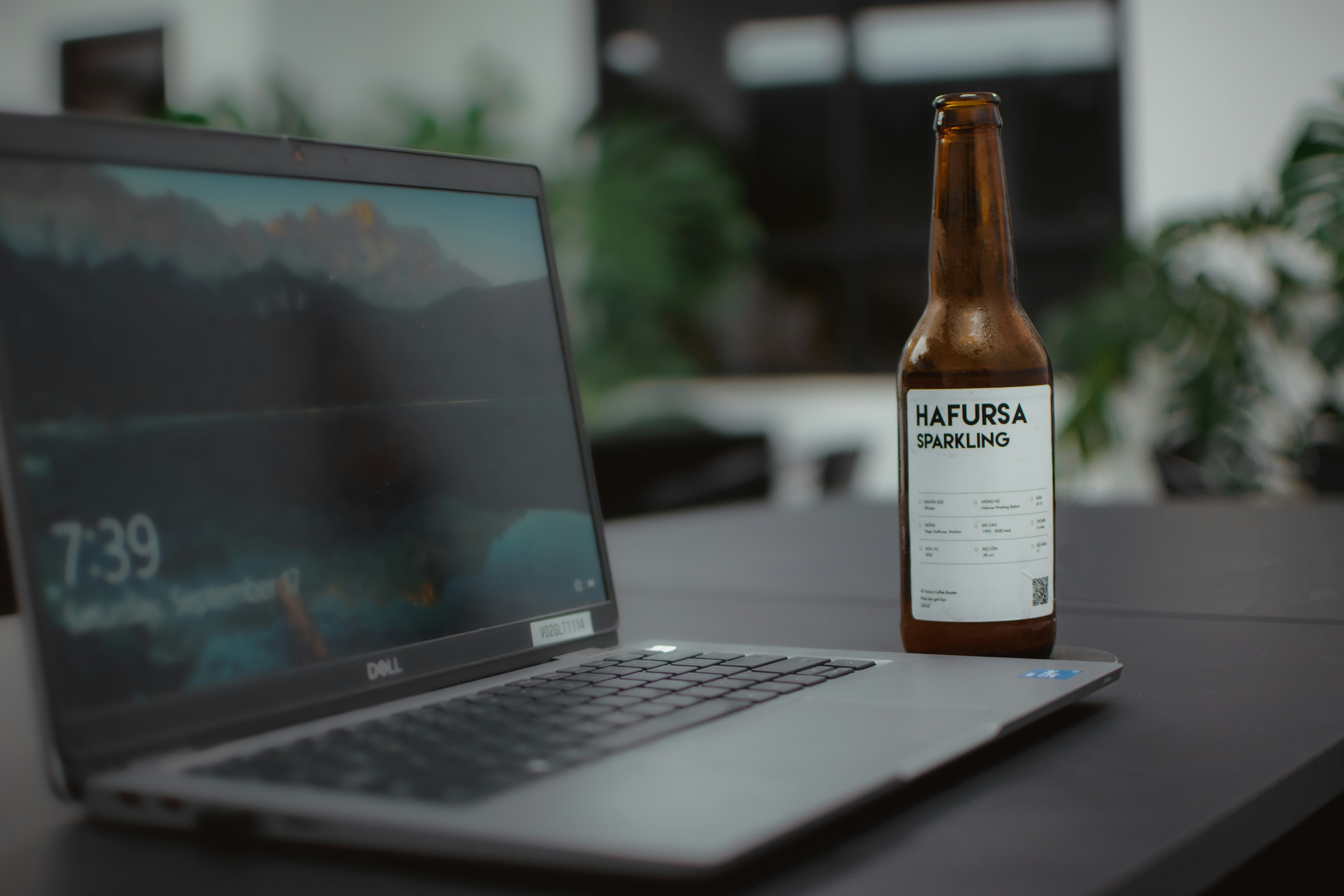 Laptop and beer