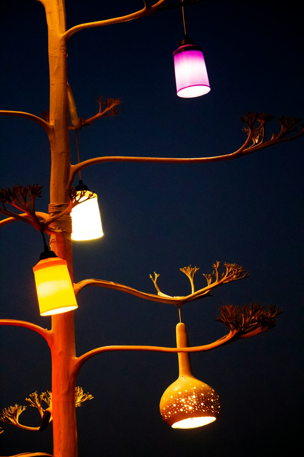 a group of lights from a tree