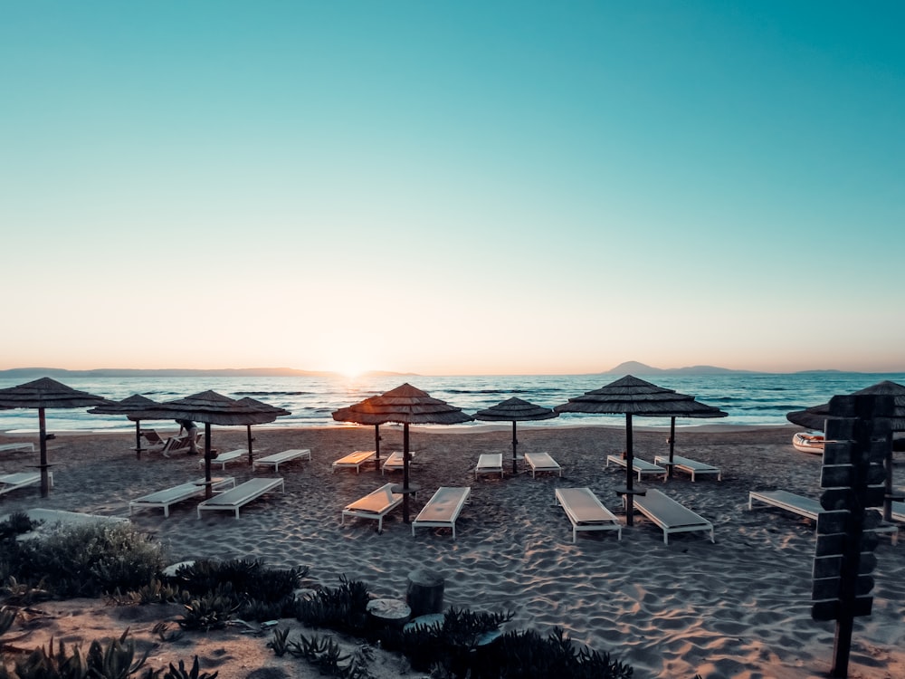 una playa con sombrillas y sillas