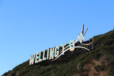 A large colorful sign spelling out 'WELLINGTON' is mounted against a hillside with lush green foliage. The letters are stylized with curves intersecting them, and the sky in the background is a clear blue.