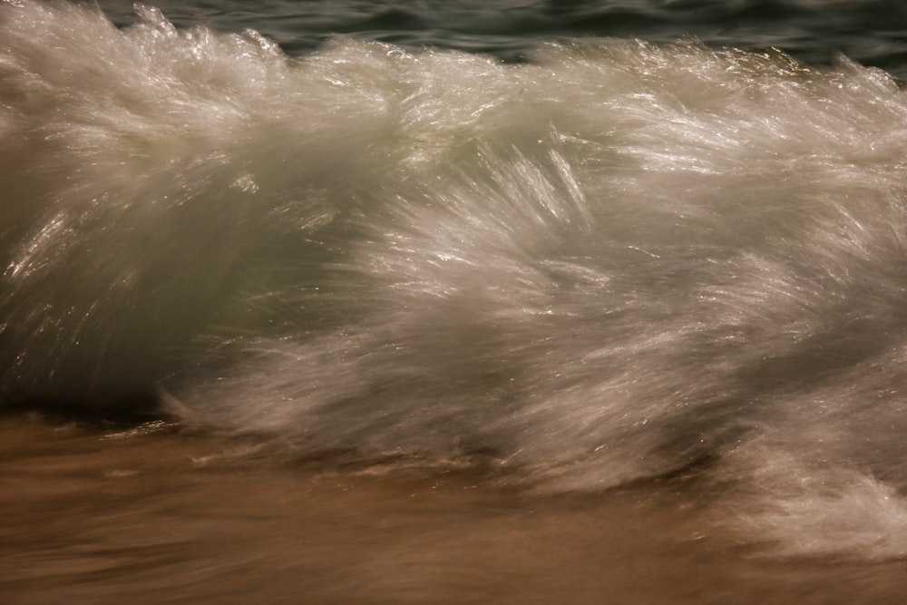 a wave in the ocean