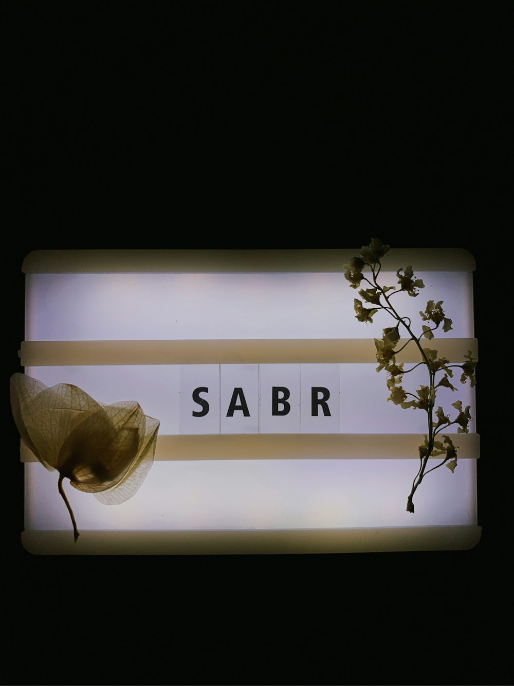 Sabr Pictures | Download Free Images on Unsplash