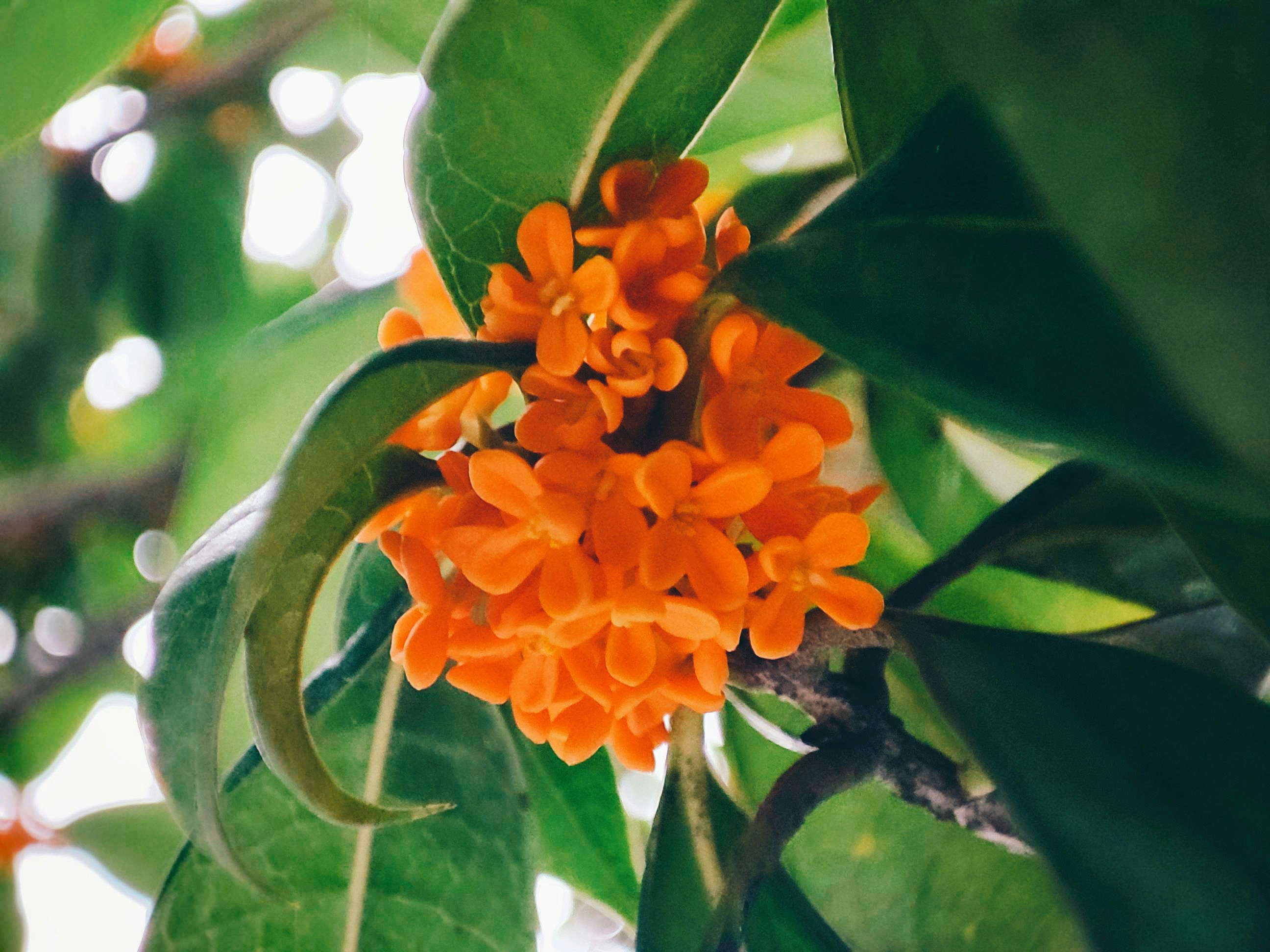 Photo by liuwen5656554