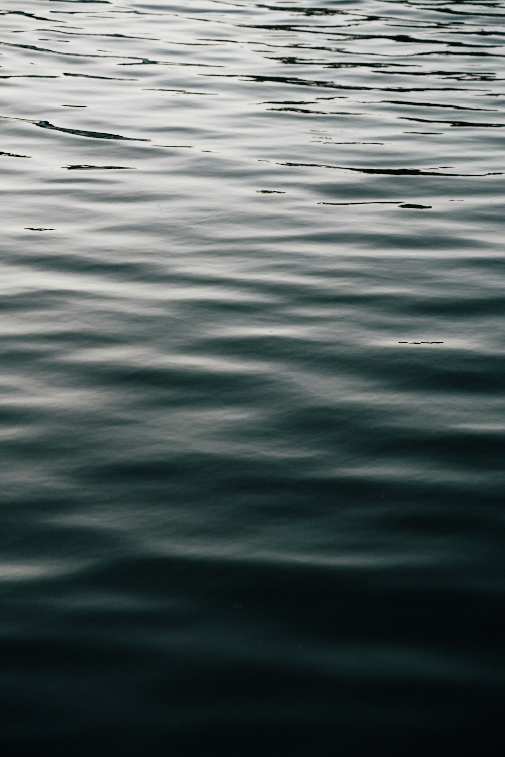 a body of water with ripples