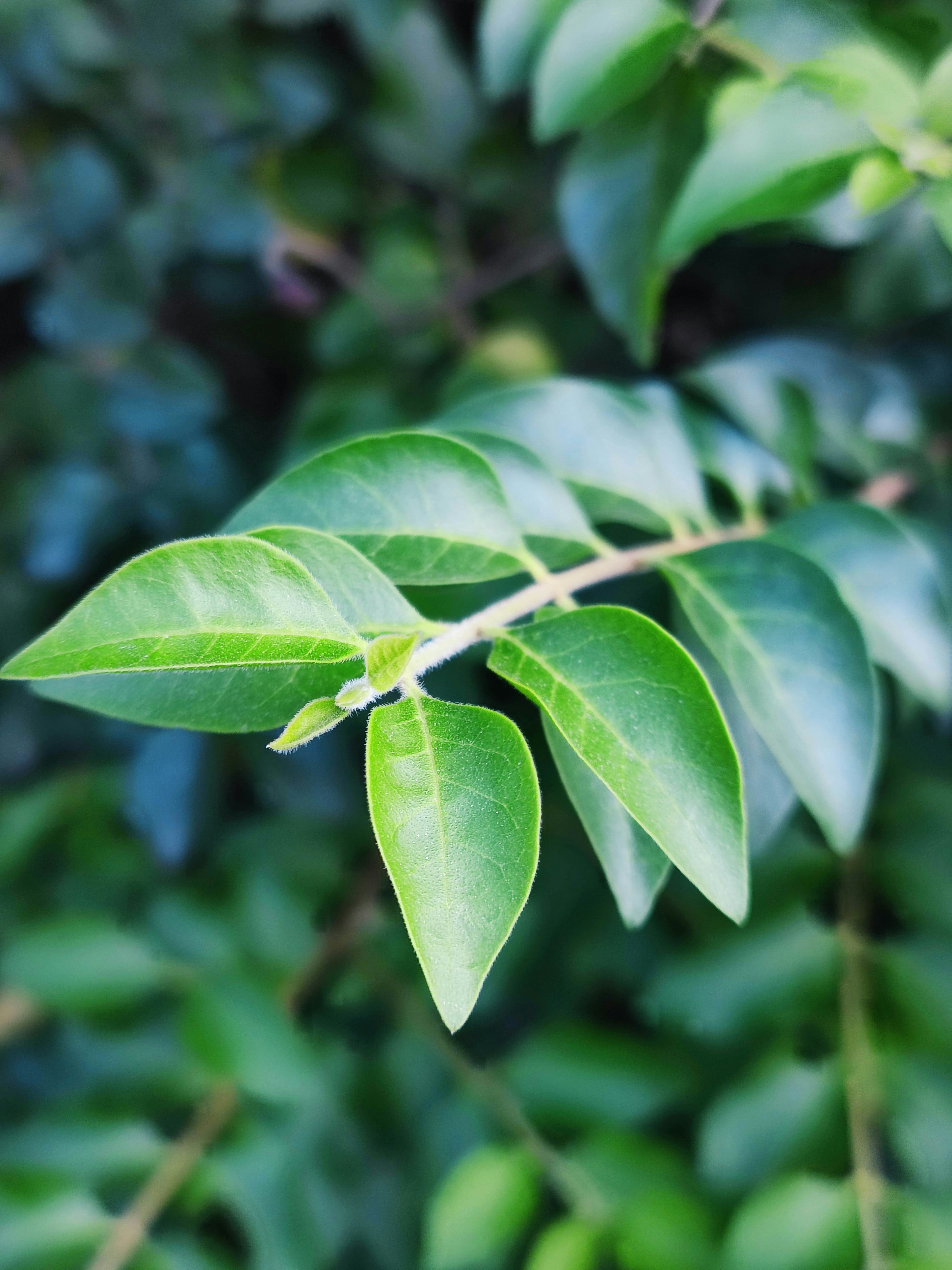 Photo by liuwen5656554