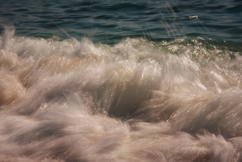 a wave in the ocean