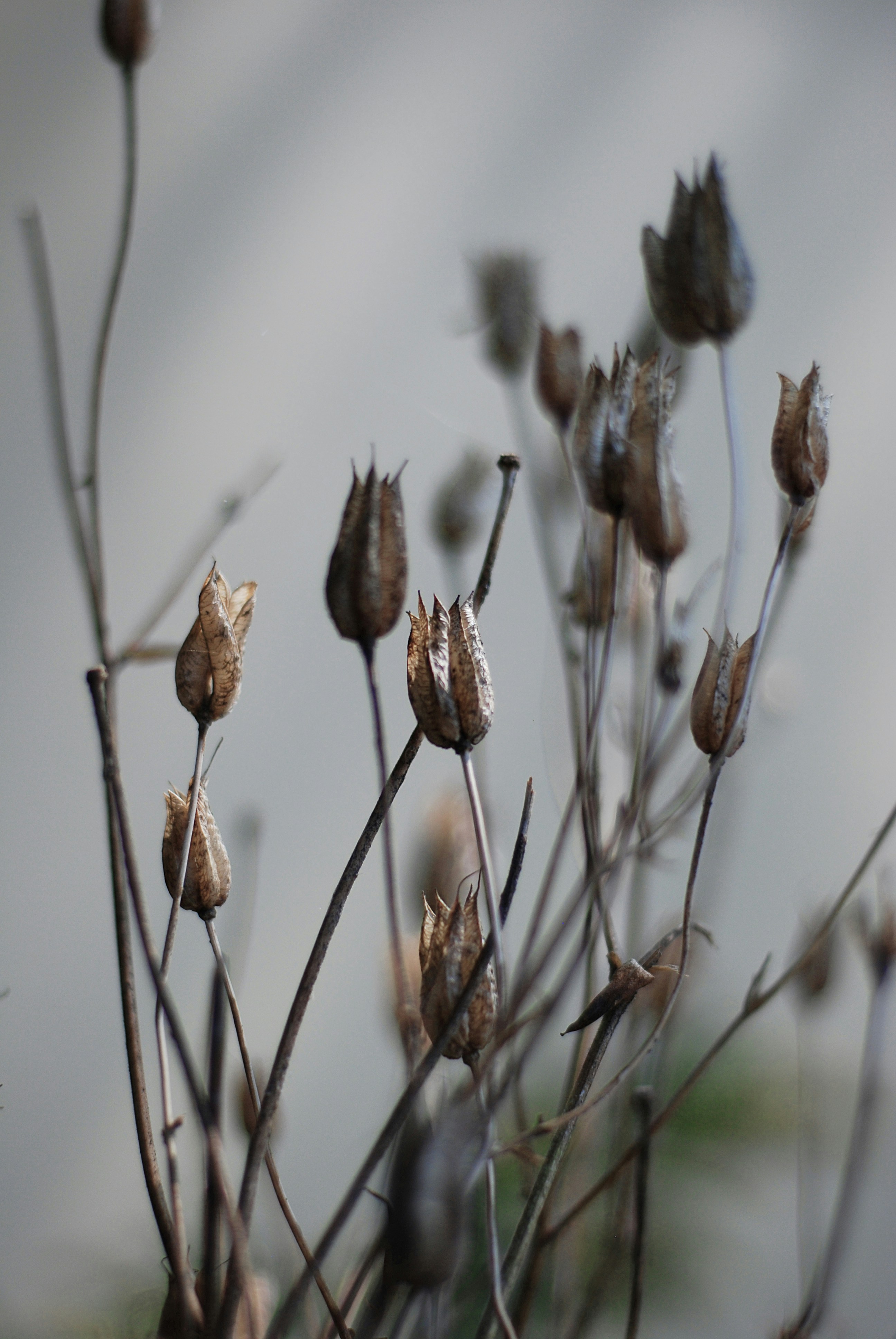 Photo by kovalskihelga