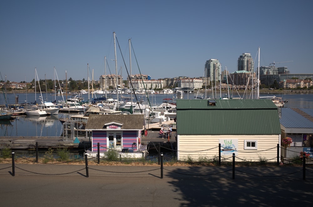 a group of boats in a harbor