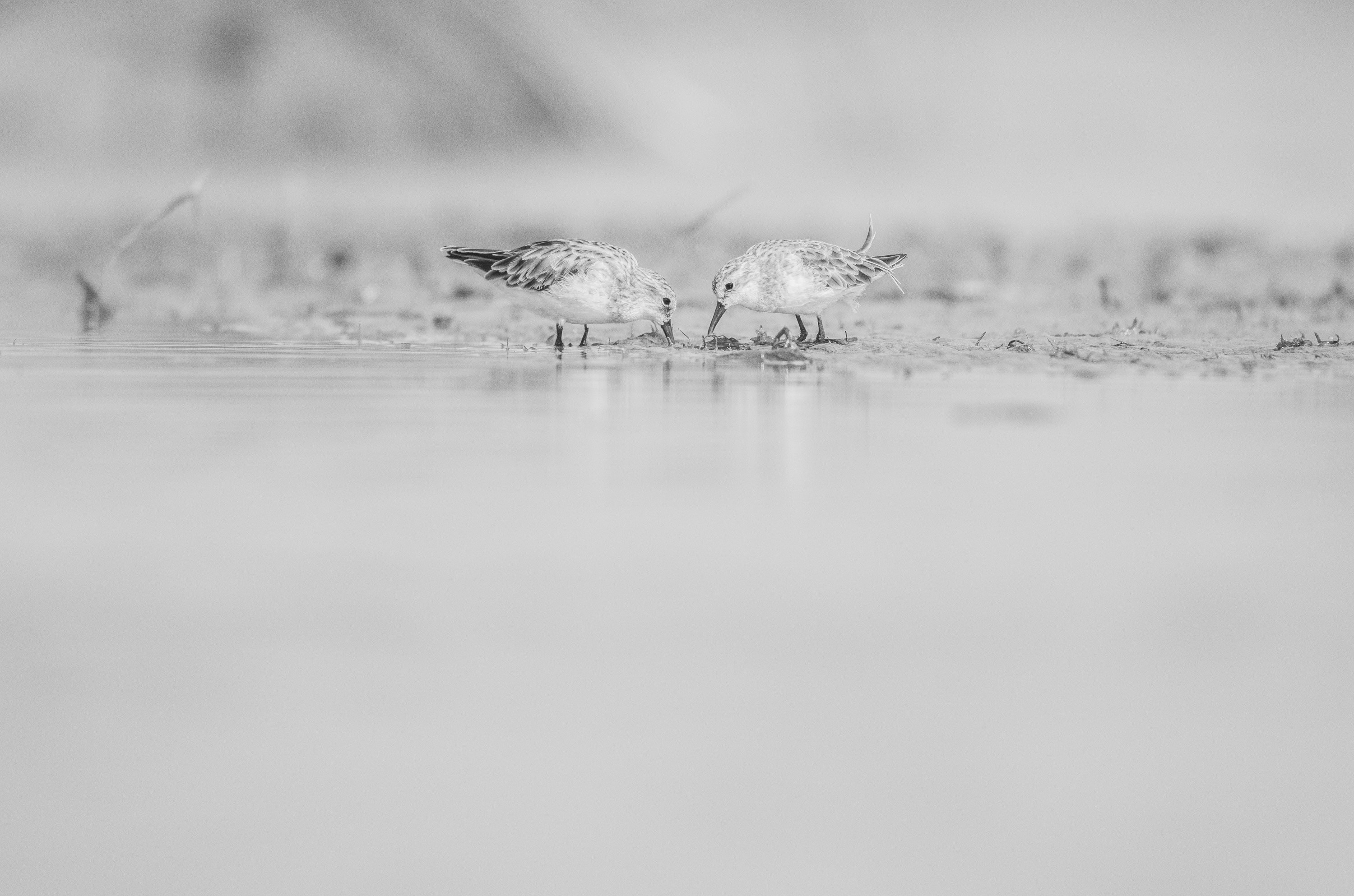 Photo by udaykiran_28