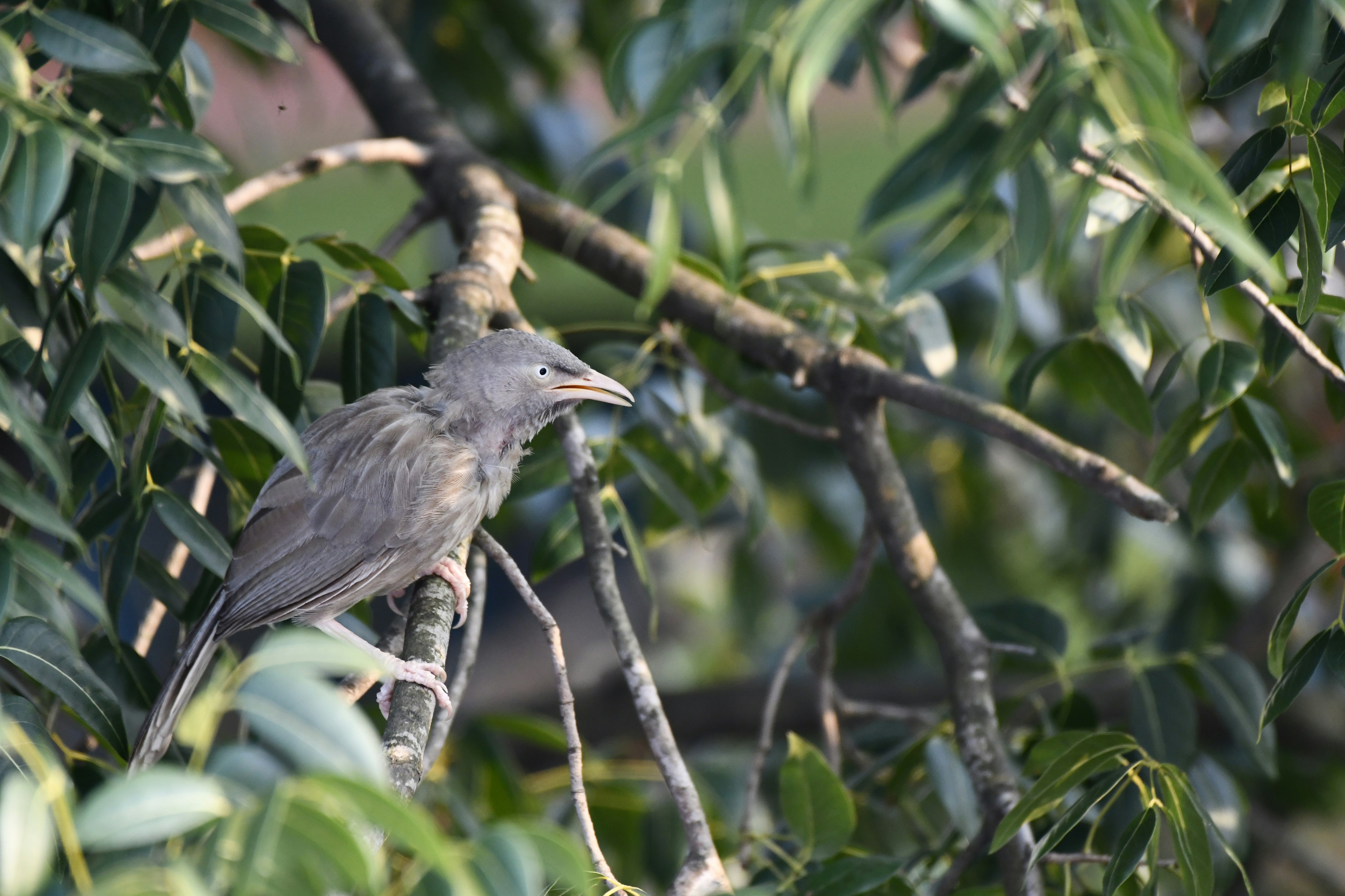 Photo by wrishi2004m