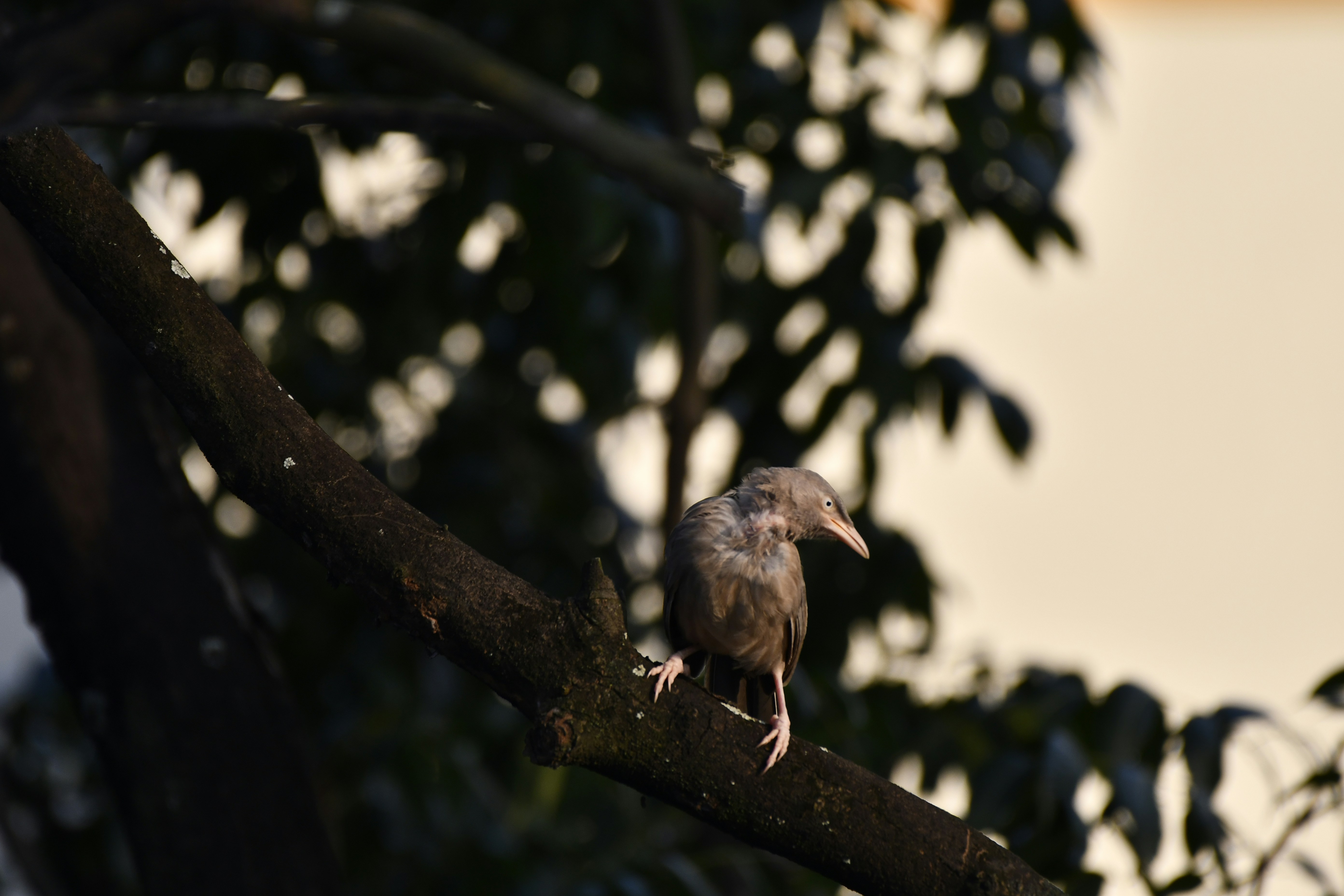 Photo by wrishi2004m