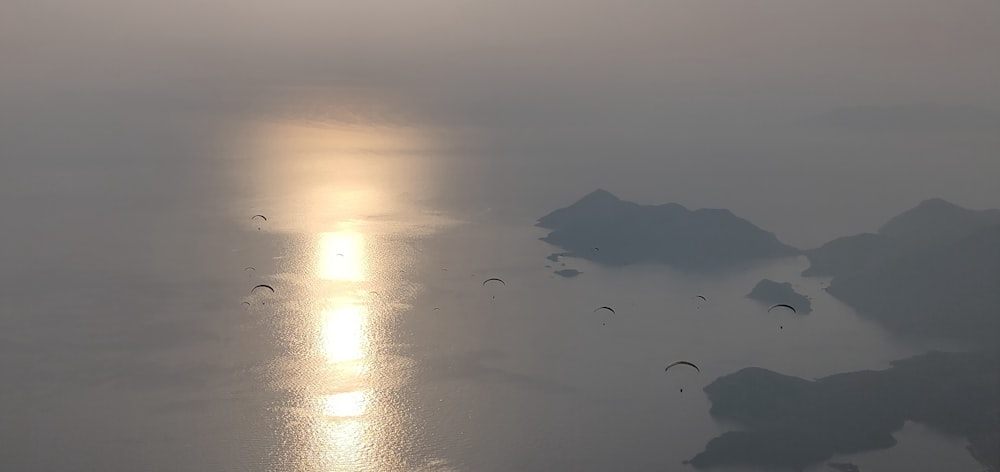 a group of people parachuting