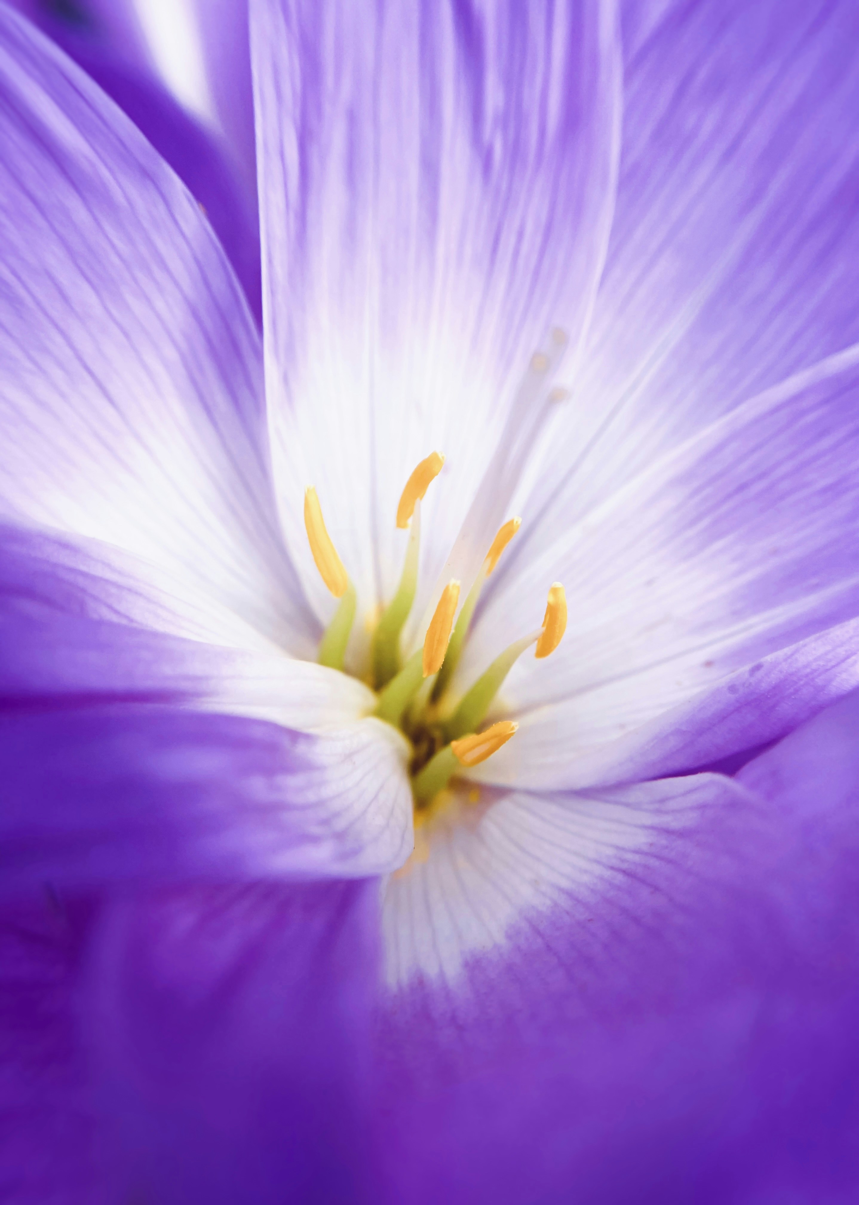 Photo by eugene_golovesov