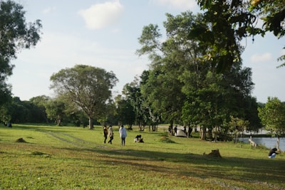 a group of people walking in a park