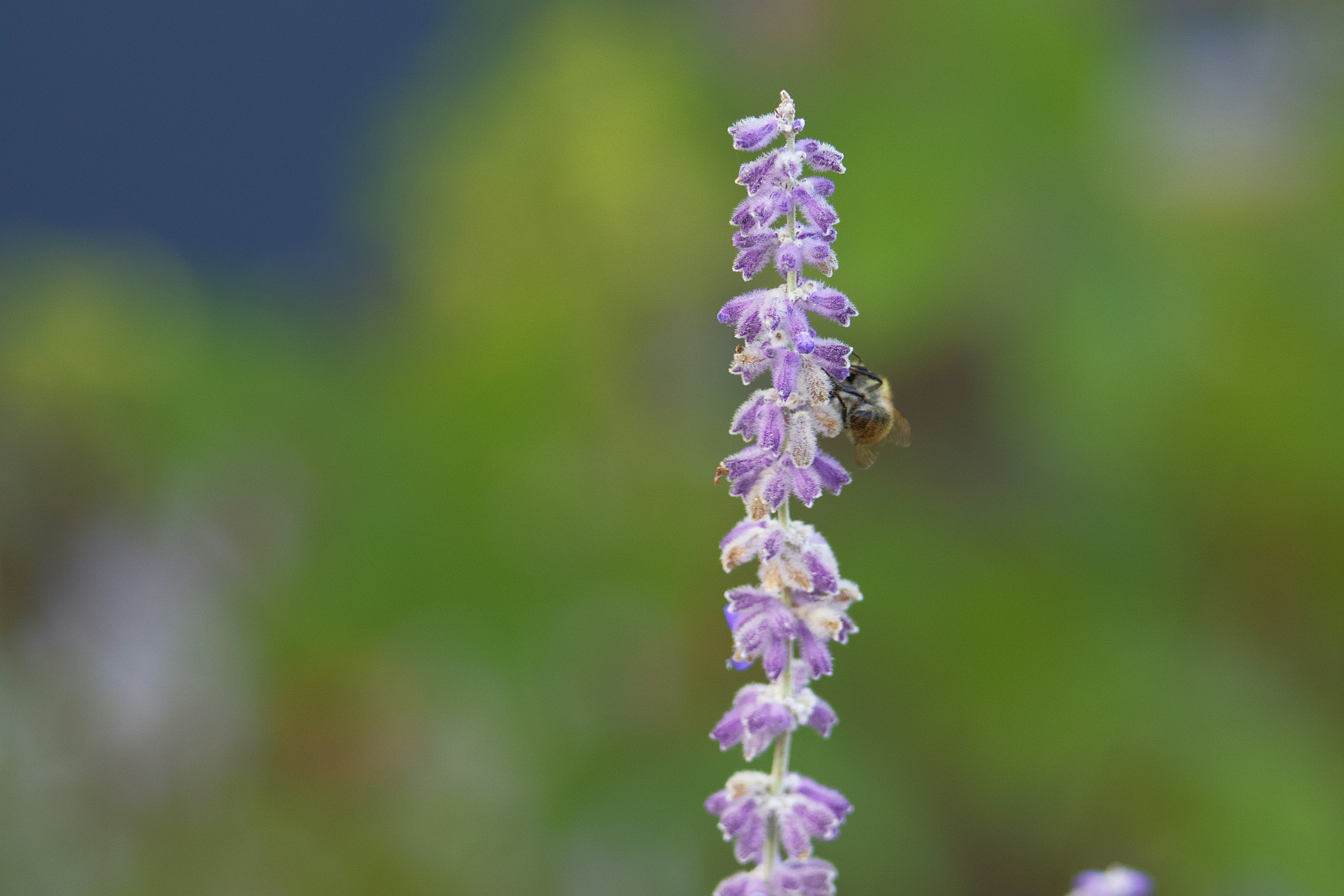 Photo by caitlynvermeij