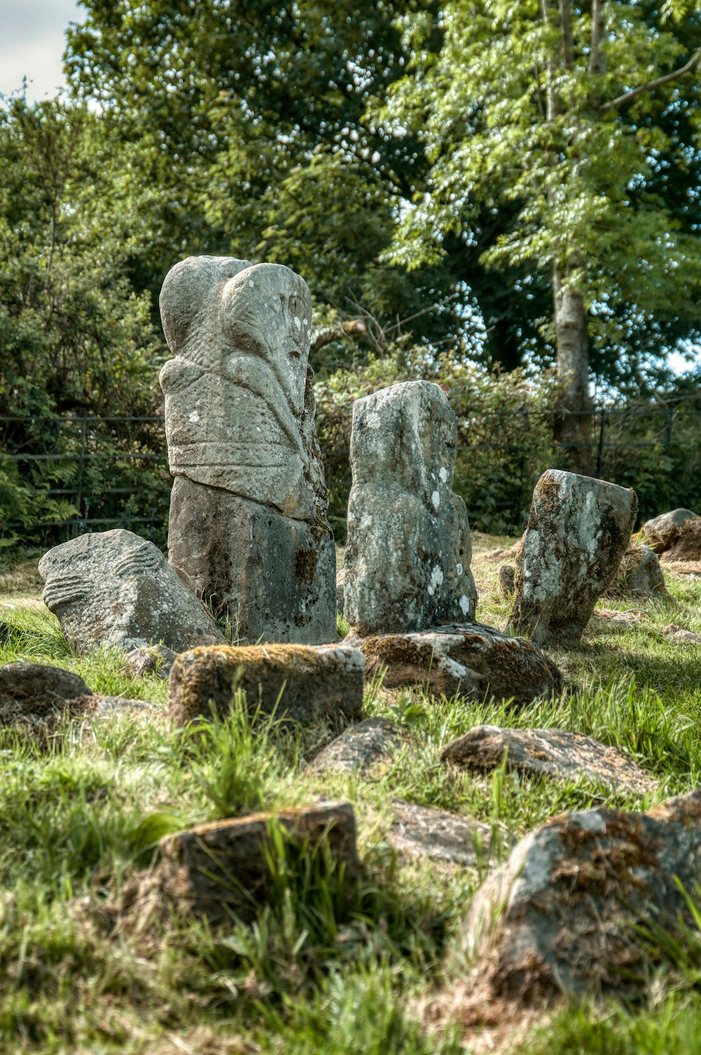 a group of rocks in a grassy area