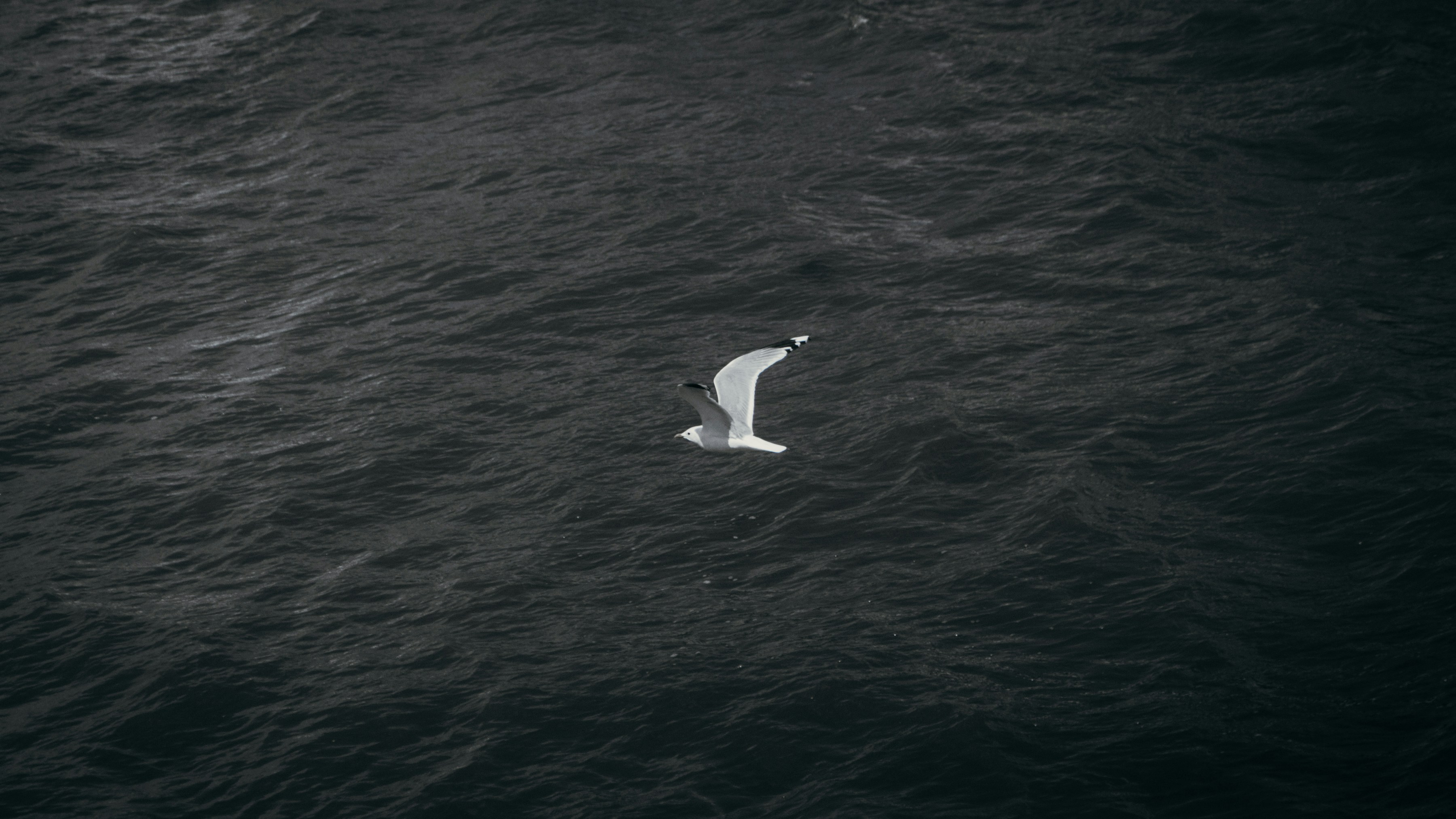 Photo by nelsonwongisme