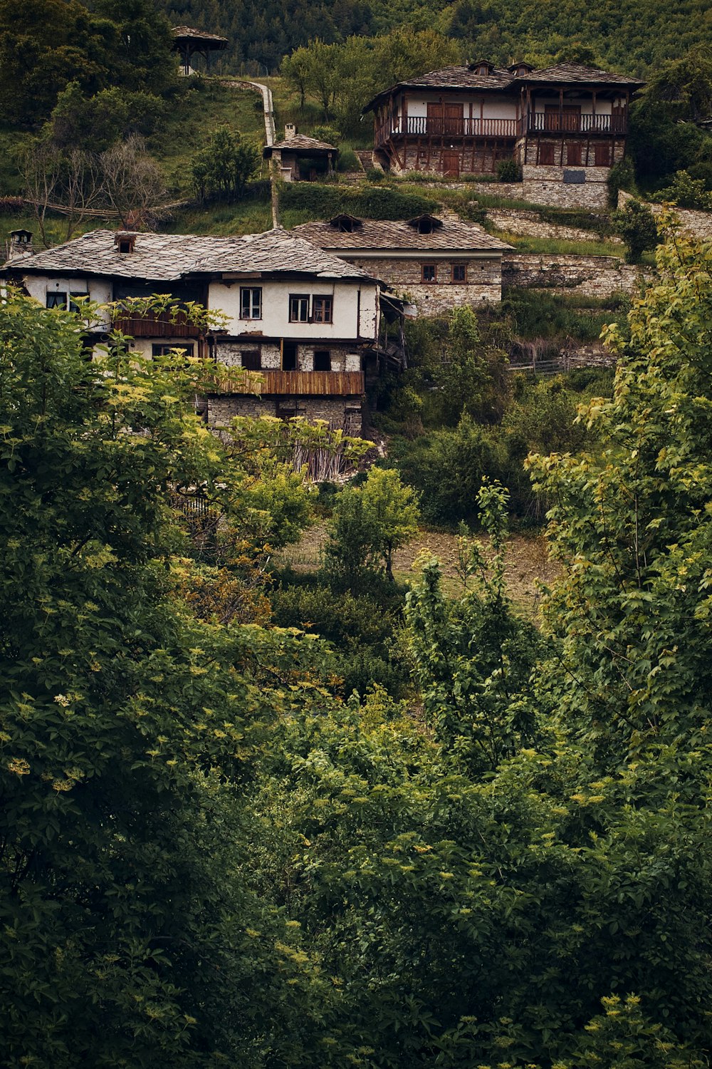 a group of houses surrounded by trees