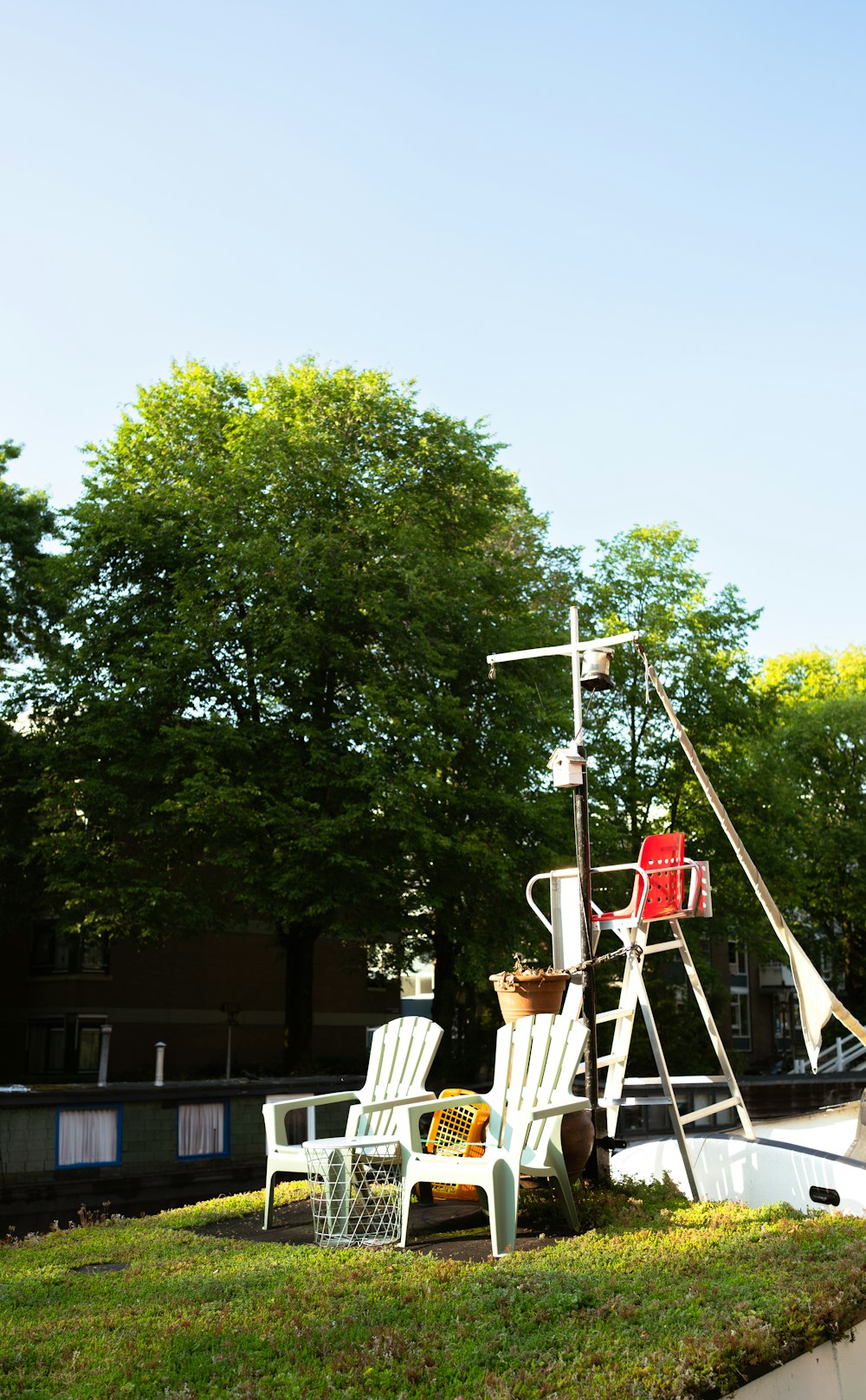 a group of chairs and a tree