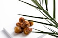 A cluster of glossy brown dates sits on a white rectangular surface, with some green palm fronds partially obscuring the view from the side.