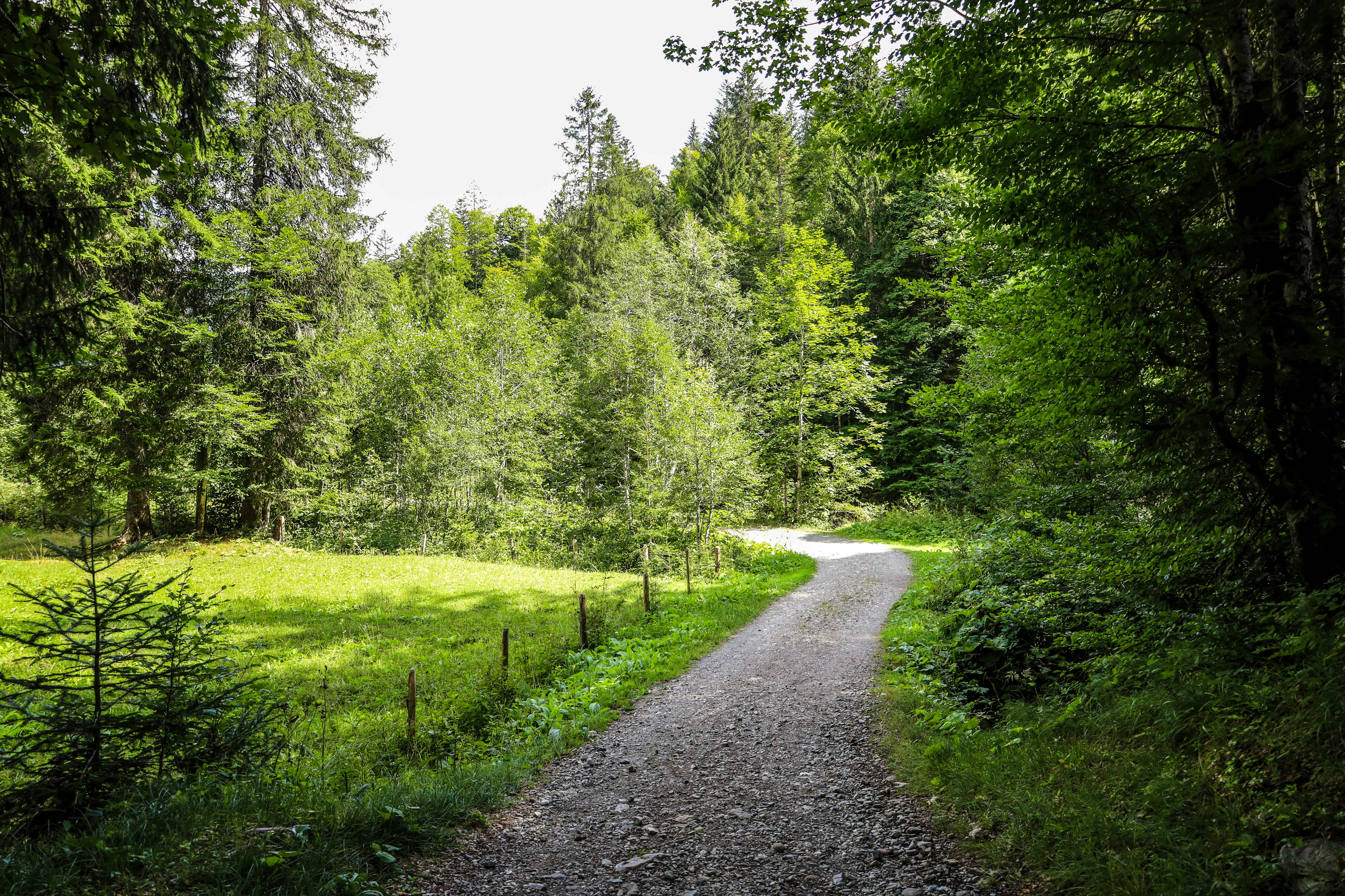 Photo by doeringphotograpy