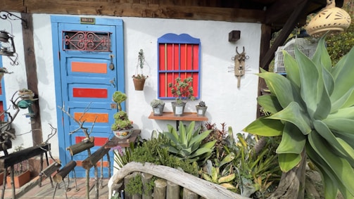 A vibrant doorway with a blue and red door and a matching window. There are potted plants on a shelf below the window, hanging from the wall, and in front of the door. Various succulents and greenery are visible in the garden area. Decorative items like a deer head sculpture and a lamp are also present.