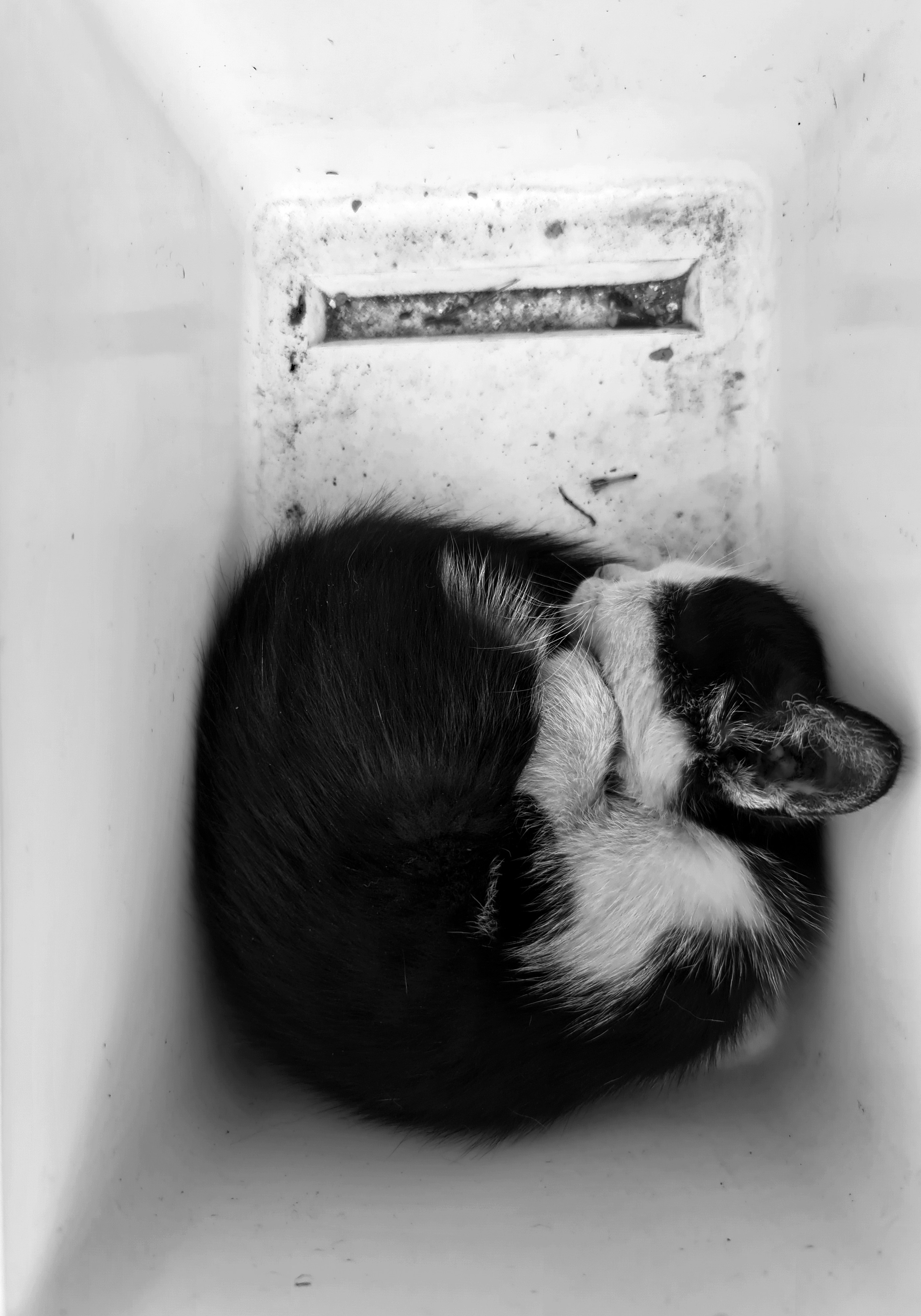 Respecting Personal Space (image credits: unsplash)