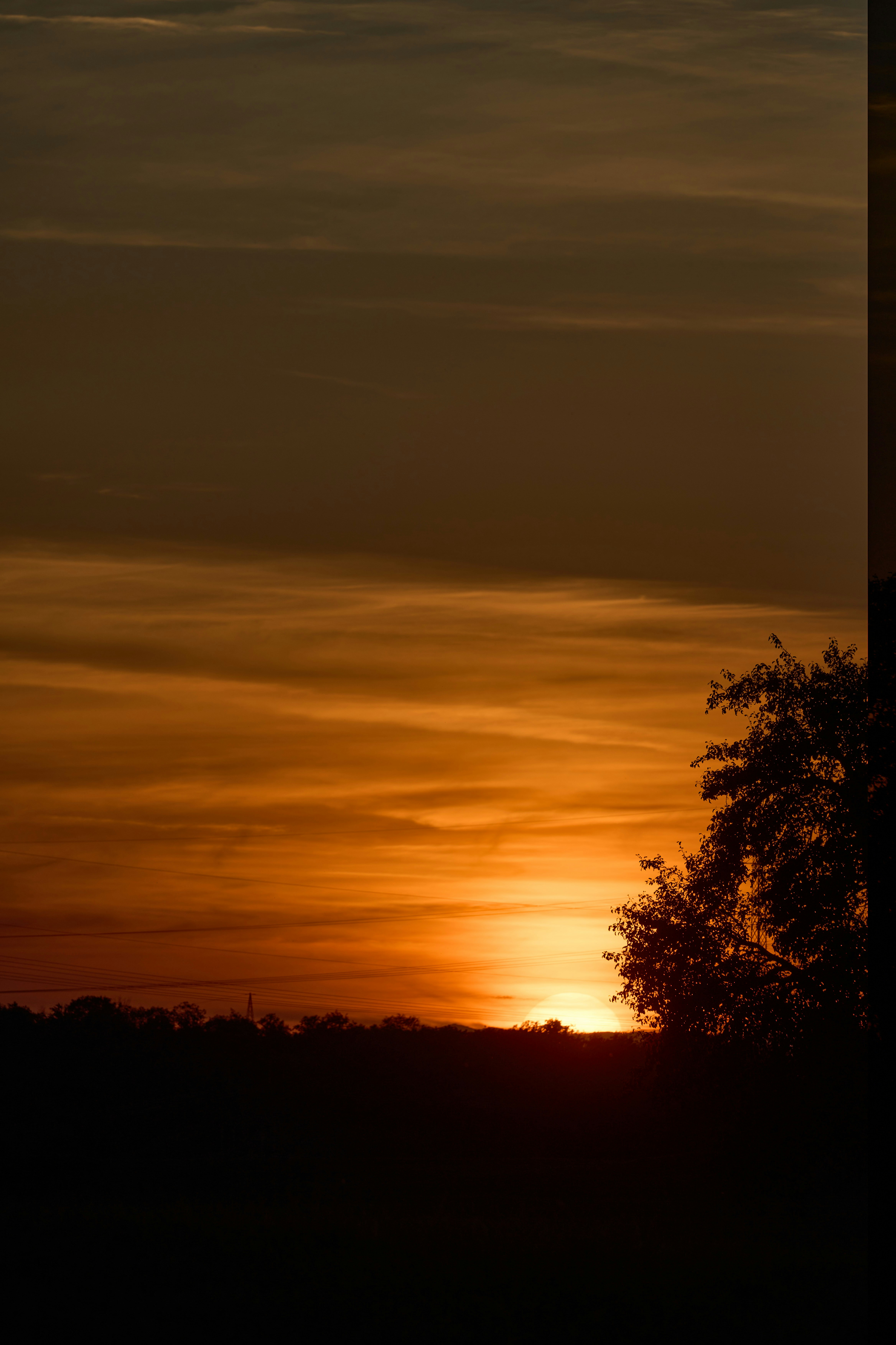 Photo by wolfgang_hasselmann