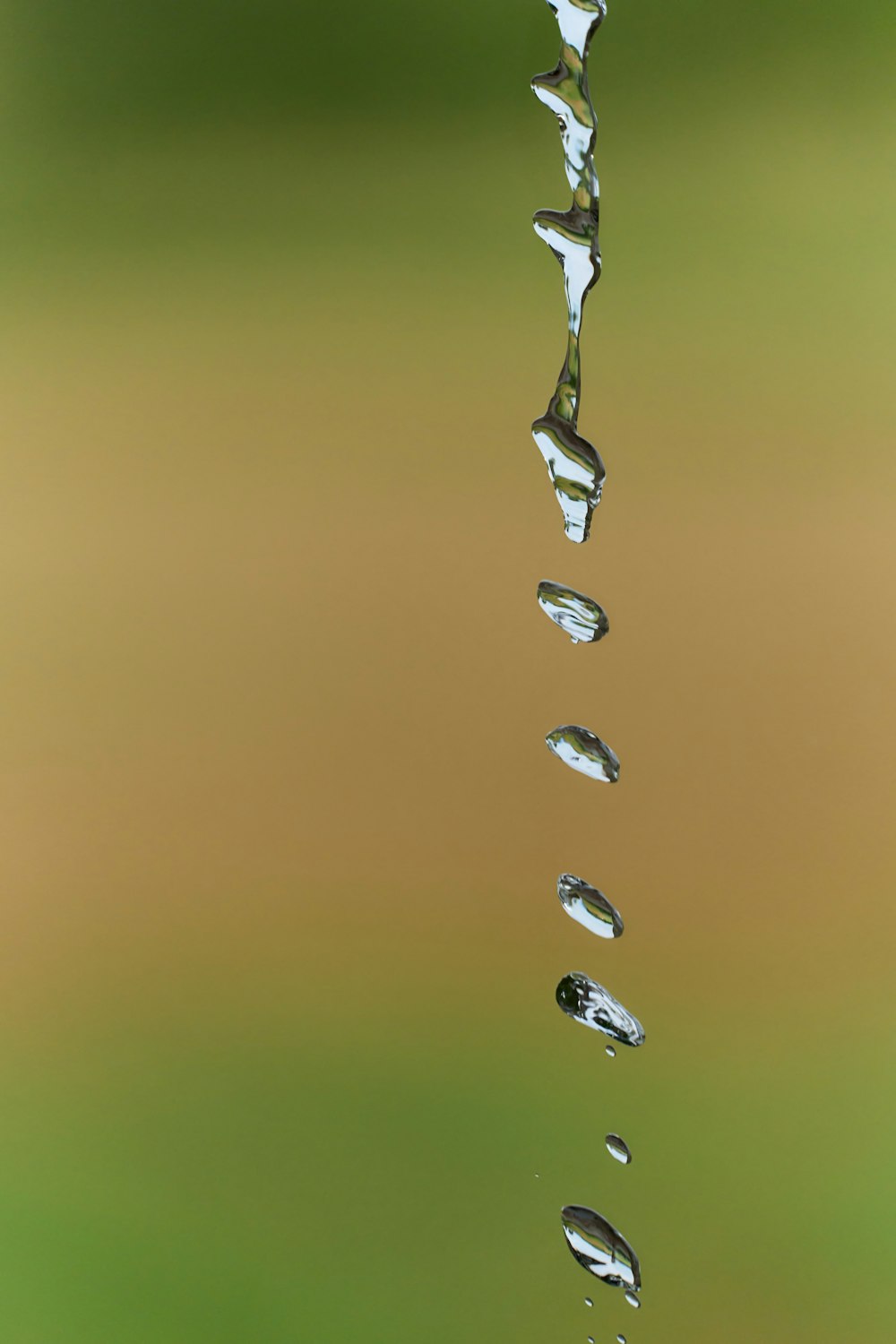 a group of water droplets