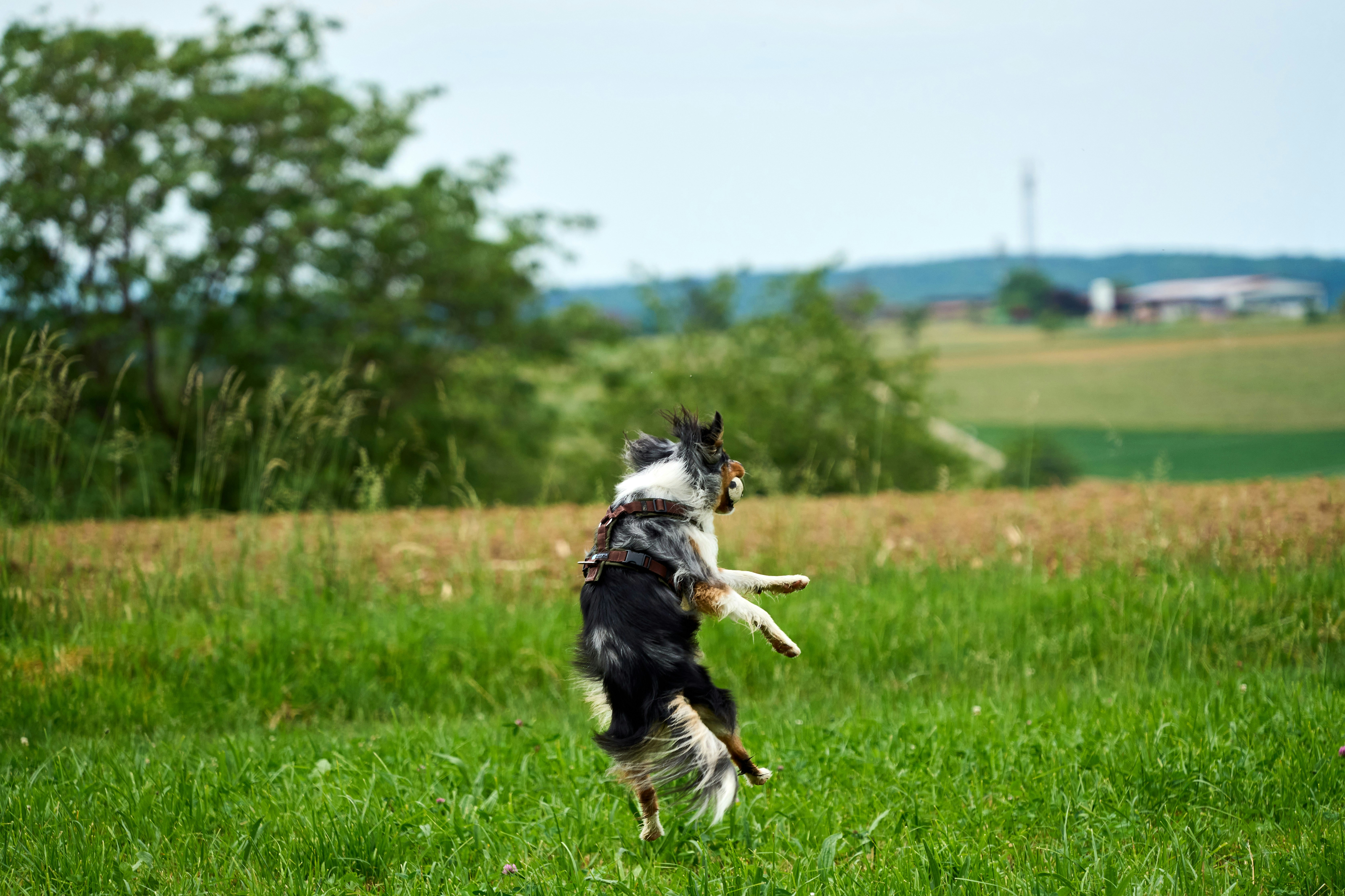 Photo by wolfgang_hasselmann