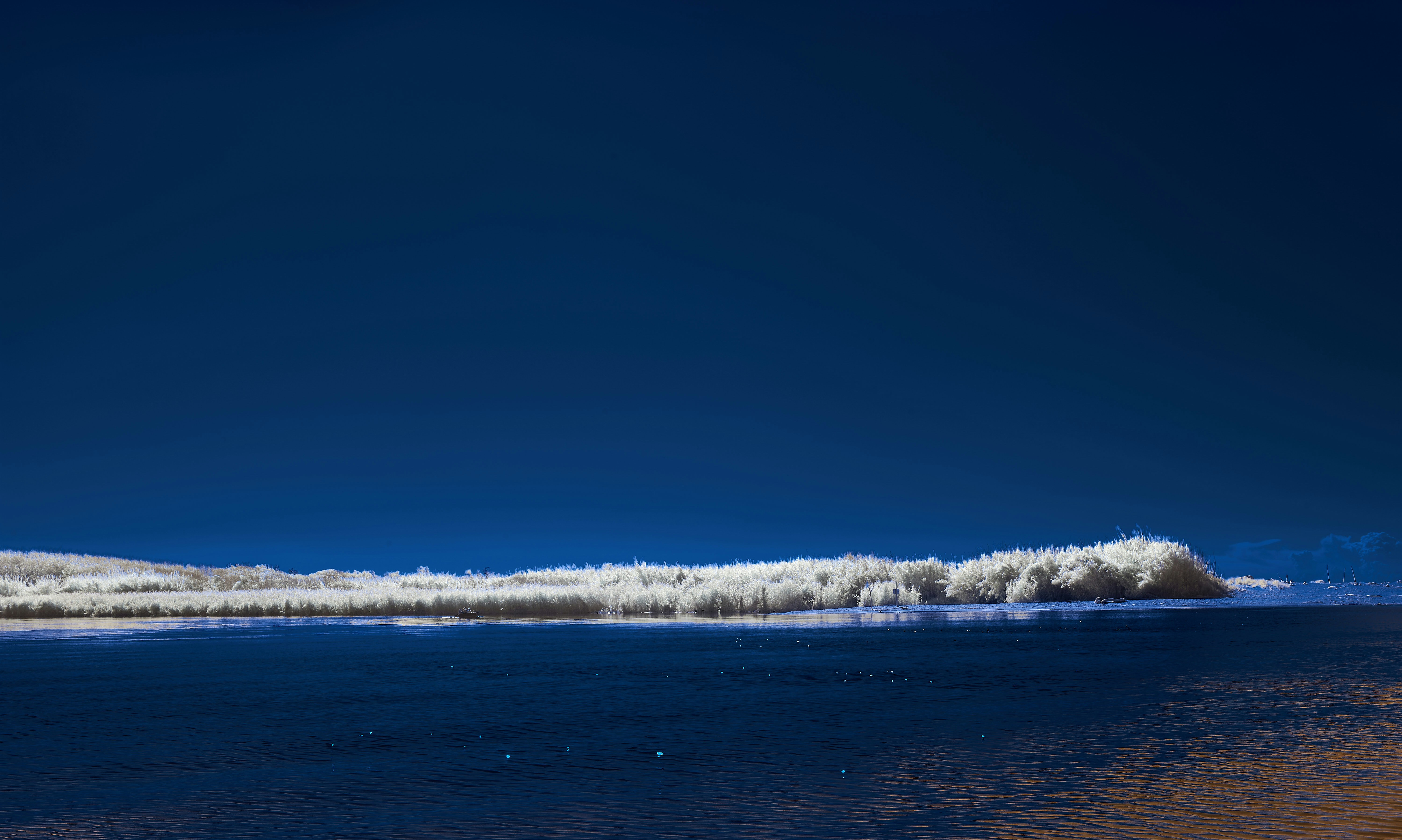 Photo by wolfgang_hasselmann