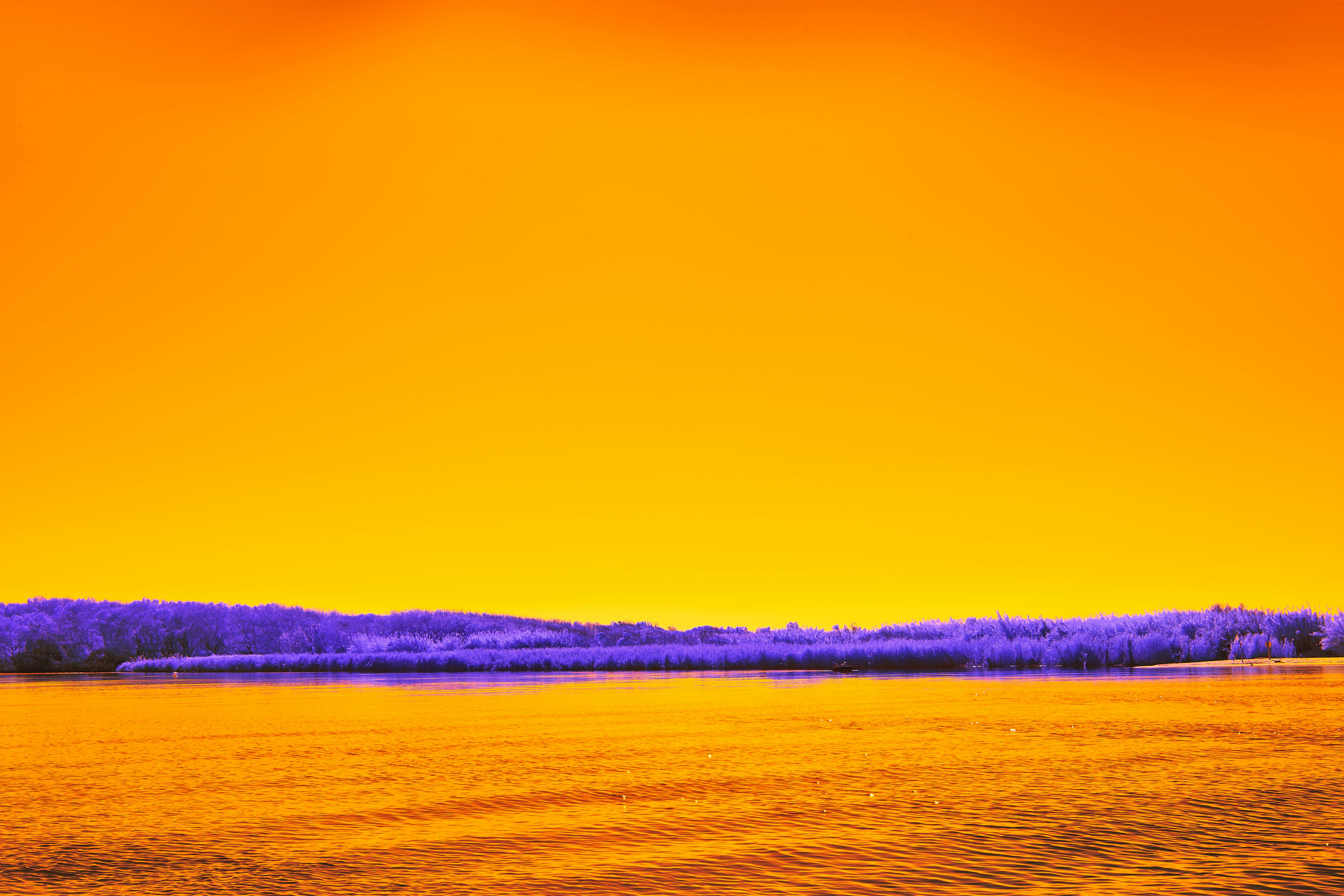 Photo by wolfgang_hasselmann