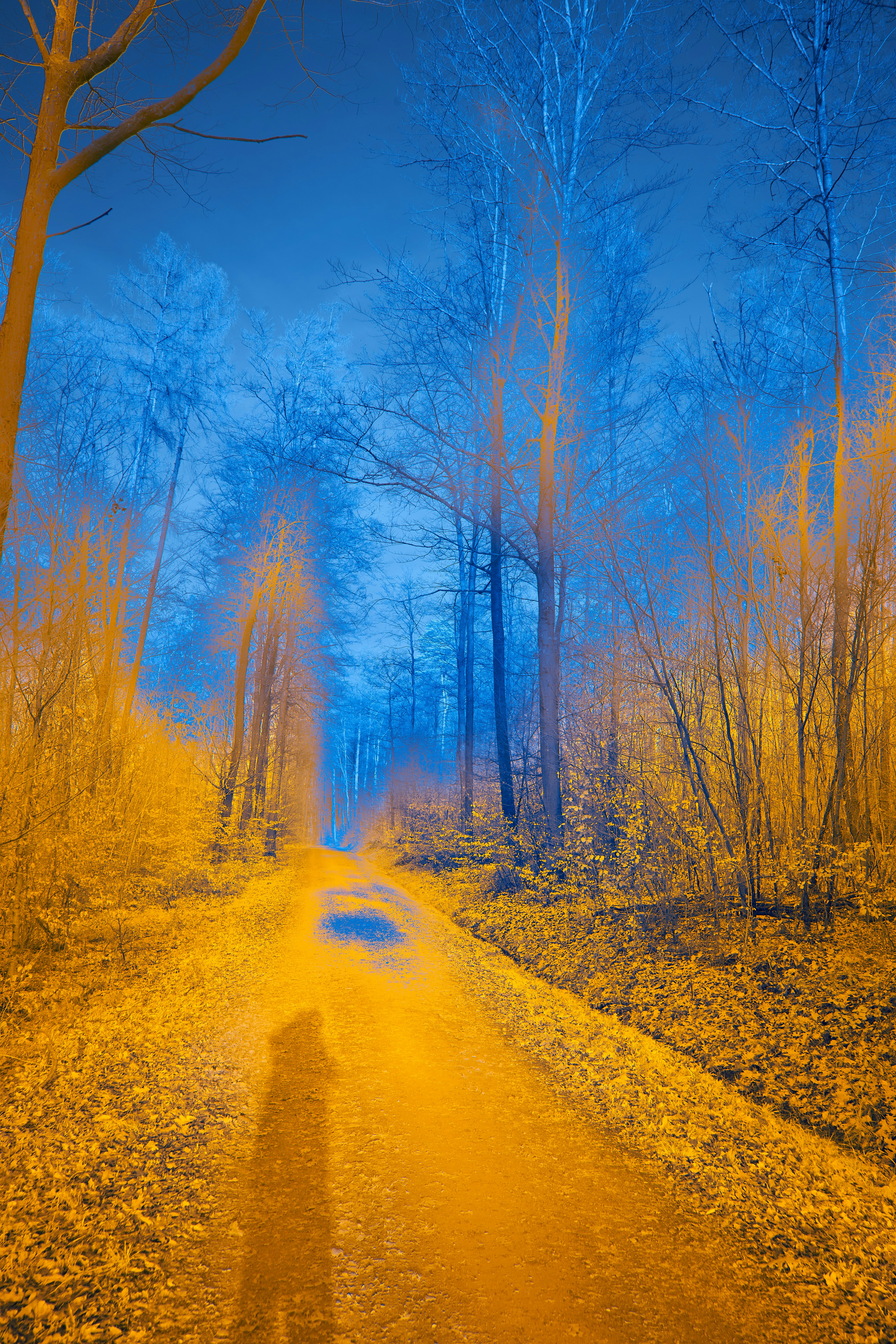 Photo by wolfgang_hasselmann