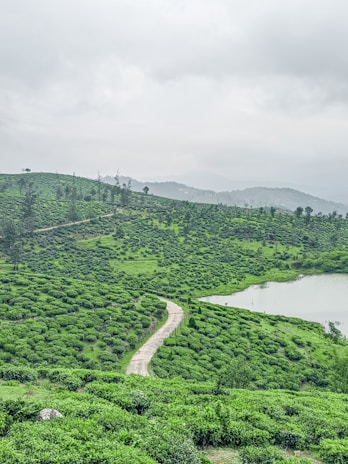 a river running through a valley