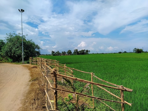 A rural landscape featuring a lush green field of crops bordered by a wooden fence. A dirt path runs alongside the field, and a tall streetlamp stands near a cluster of green trees. The sky above is partly cloudy, with patches of blue visible.