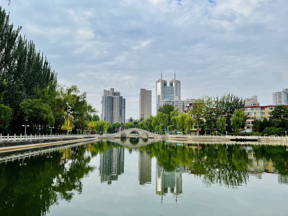 a body of water with trees and buildings in the background