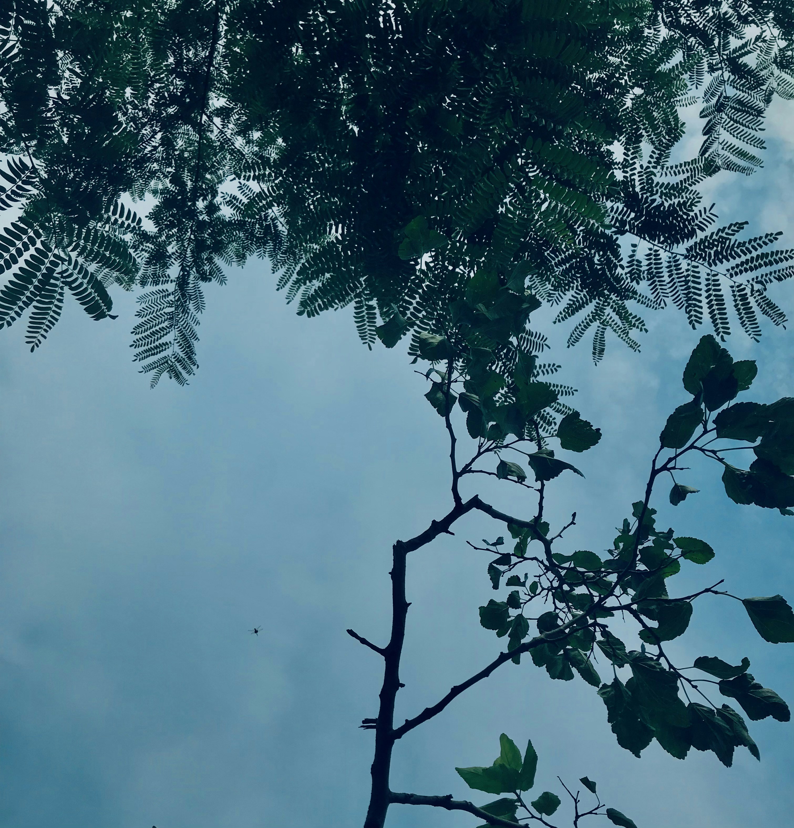 Photo by soybeanmilkkk