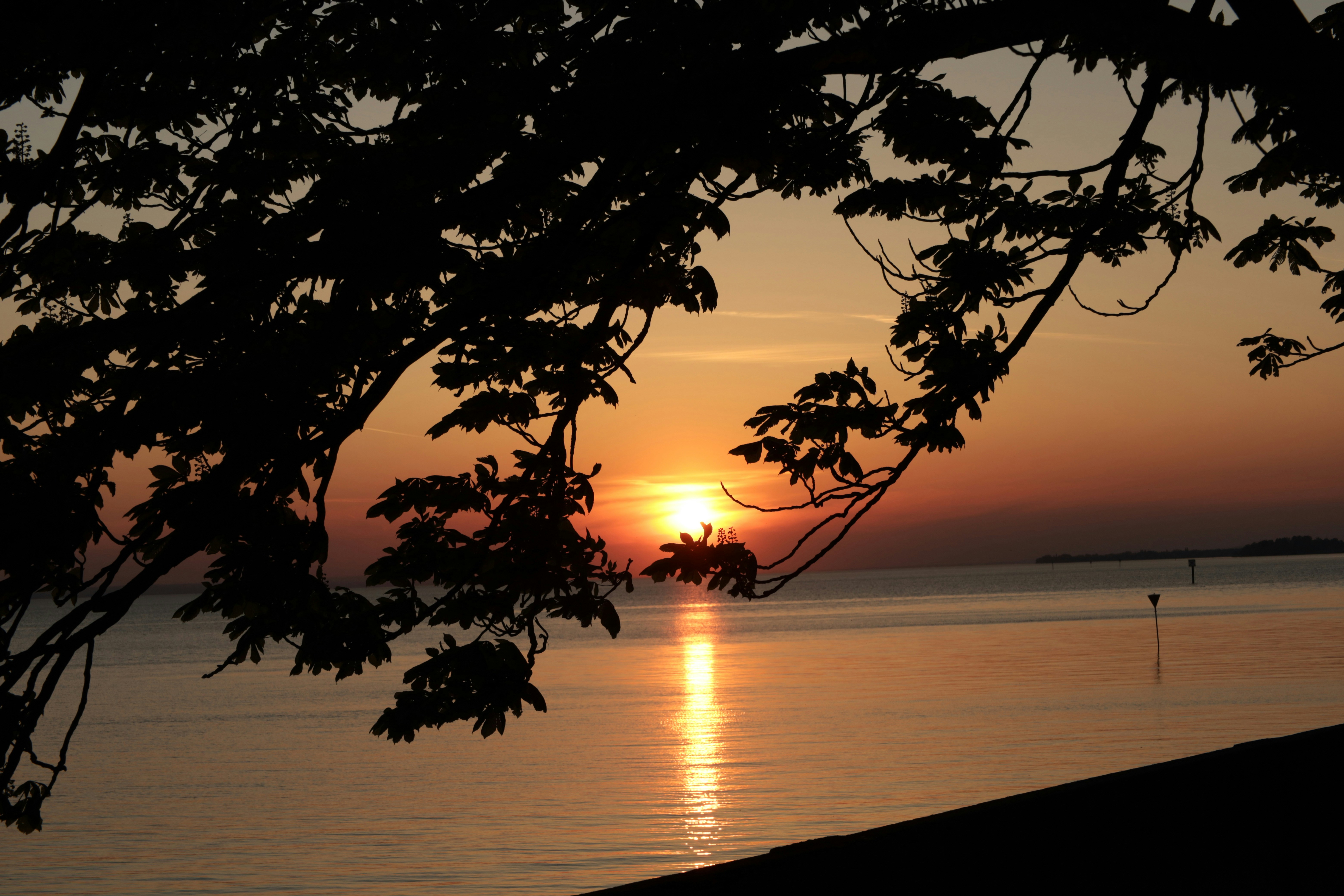 Photo by doeringphotograpy