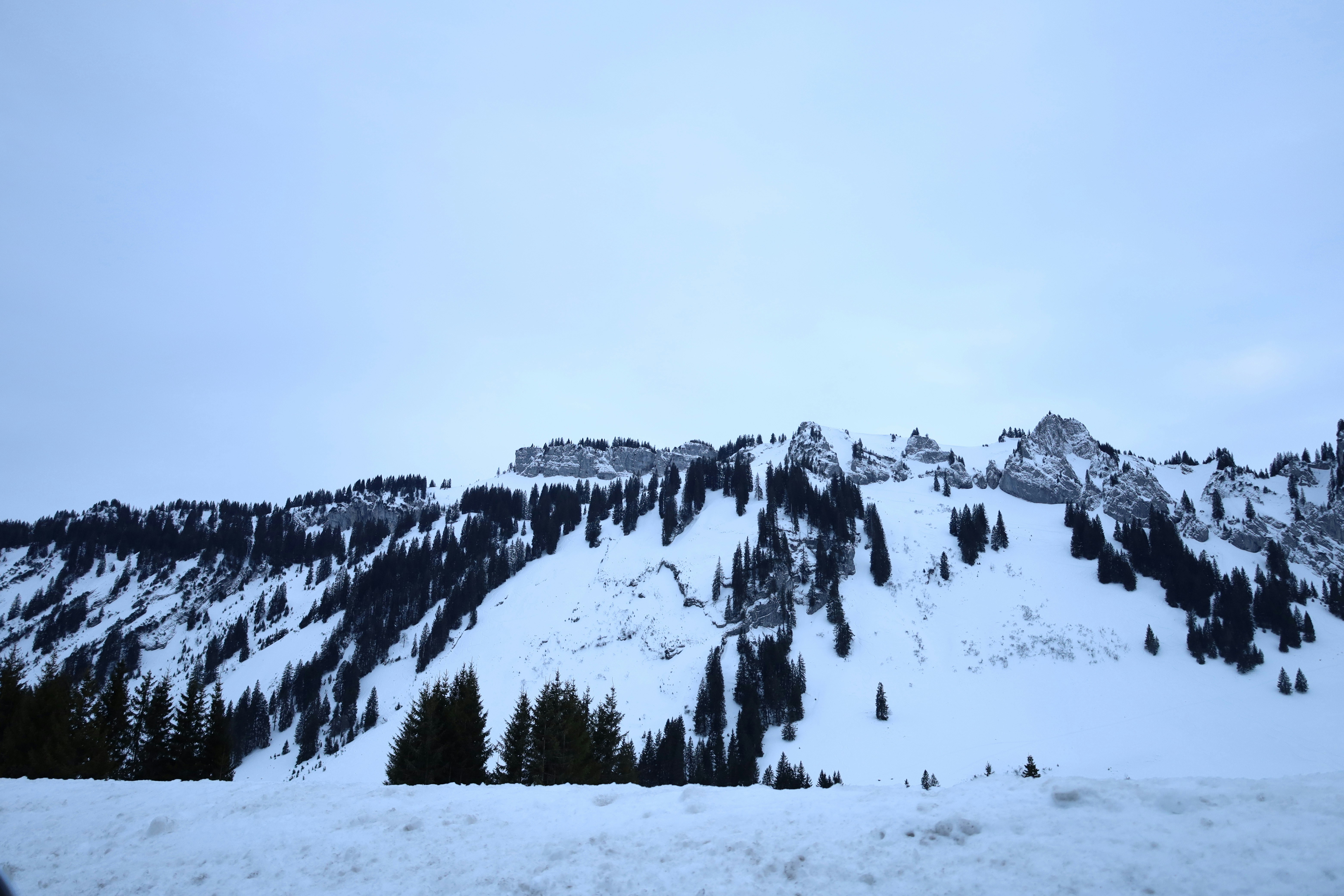 Photo by doeringphotograpy