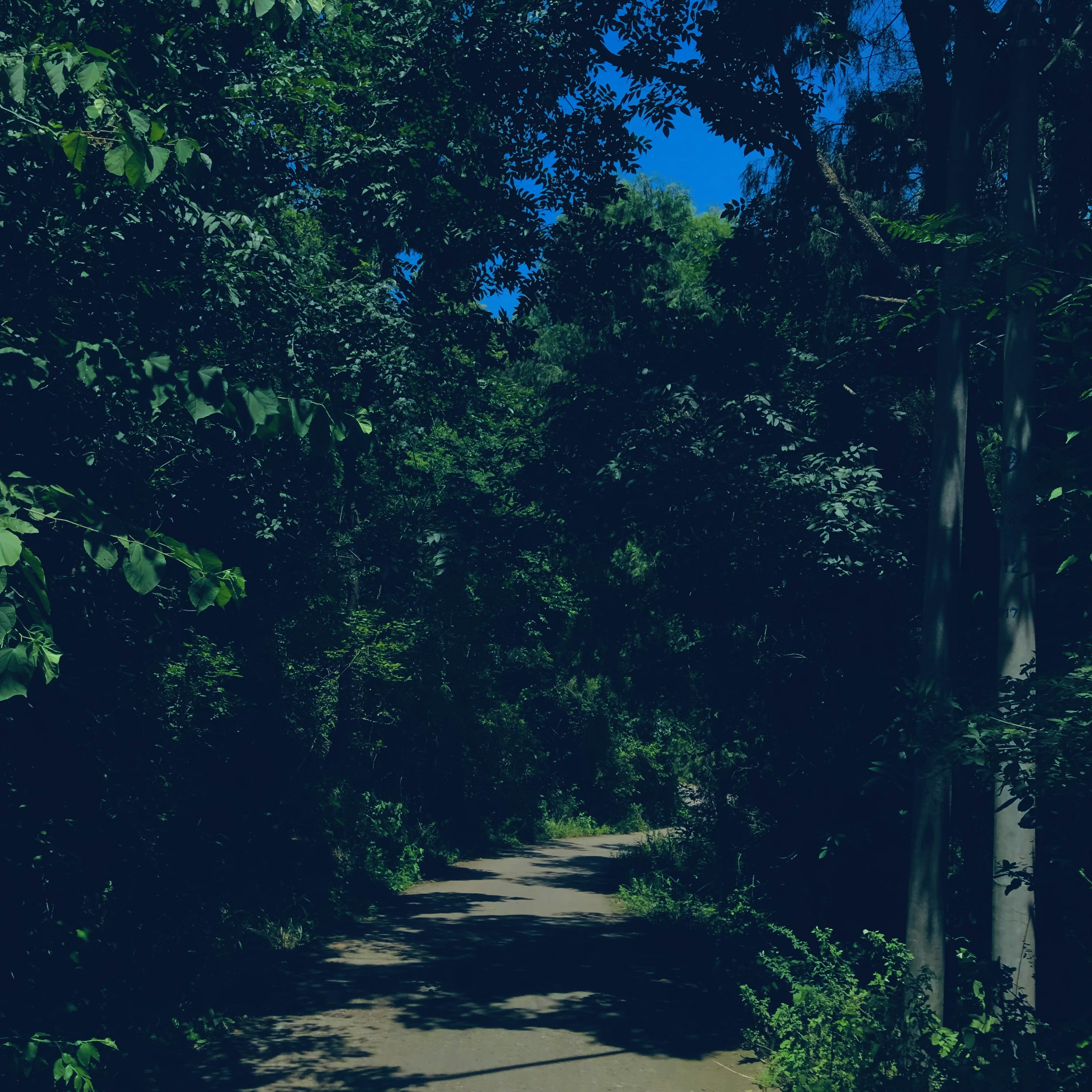 Photo by soybeanmilkkk