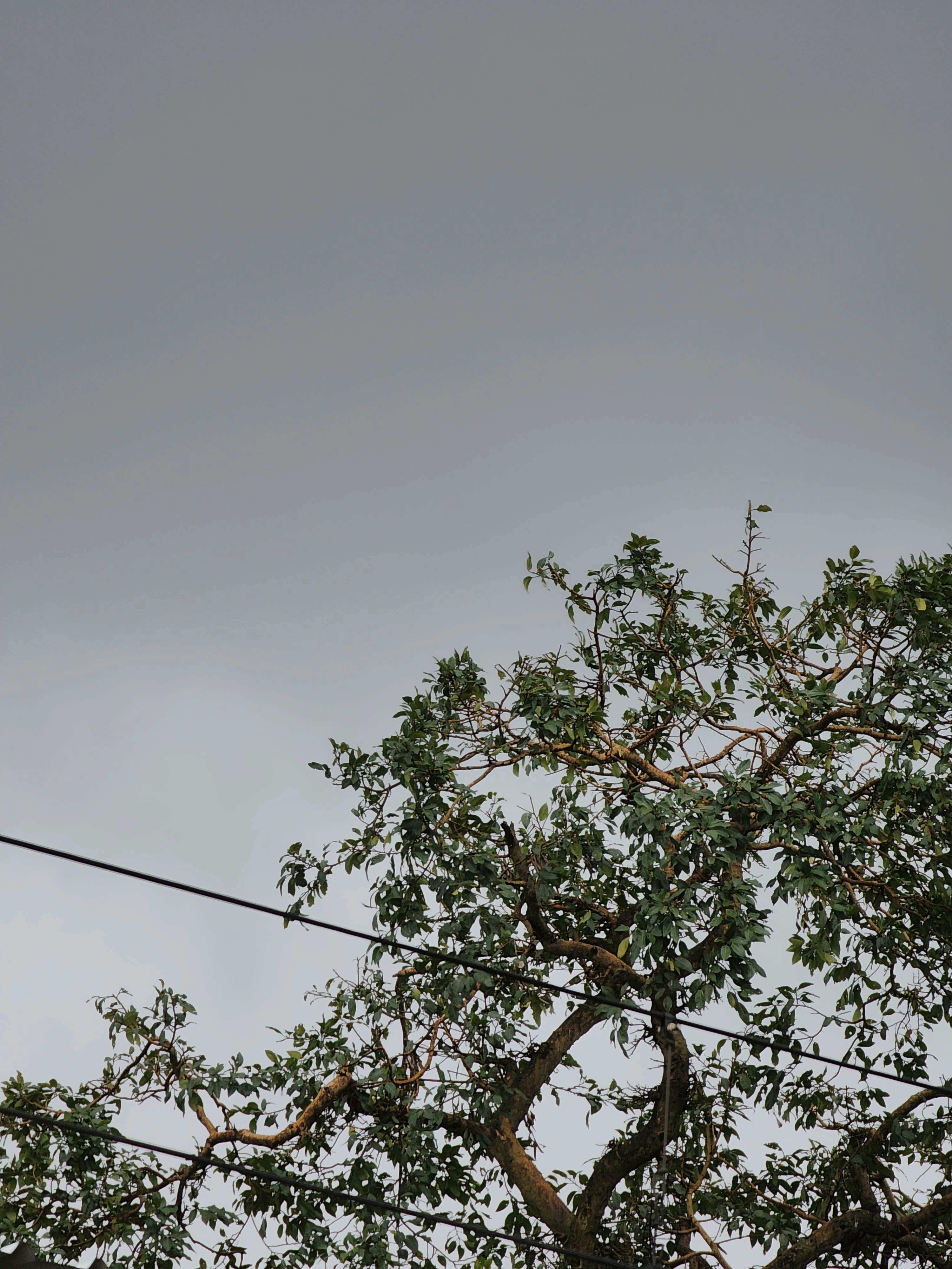 Photo by khanahsan710