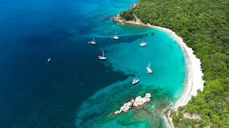 a group of boats on a beach