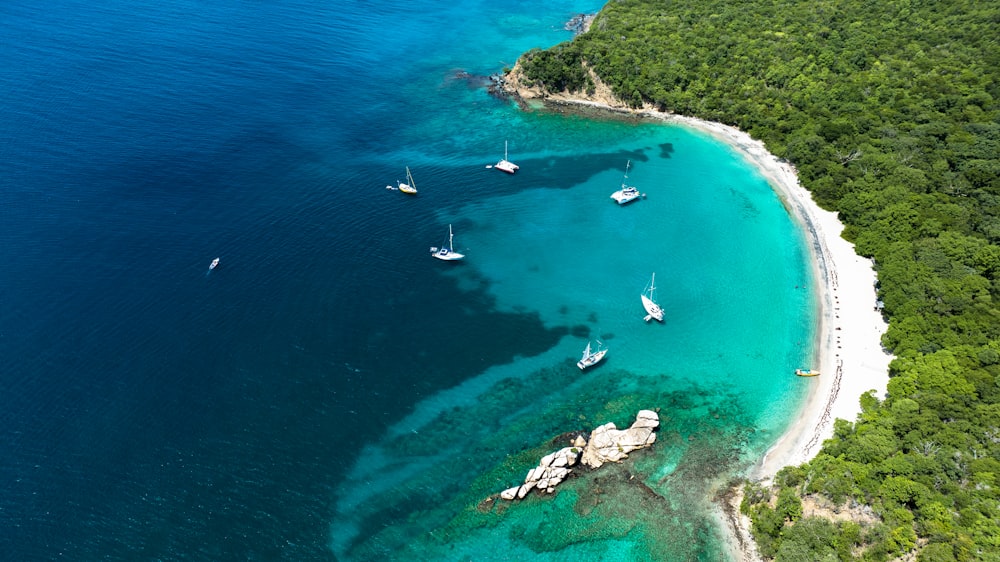 um grupo de barcos em uma praia