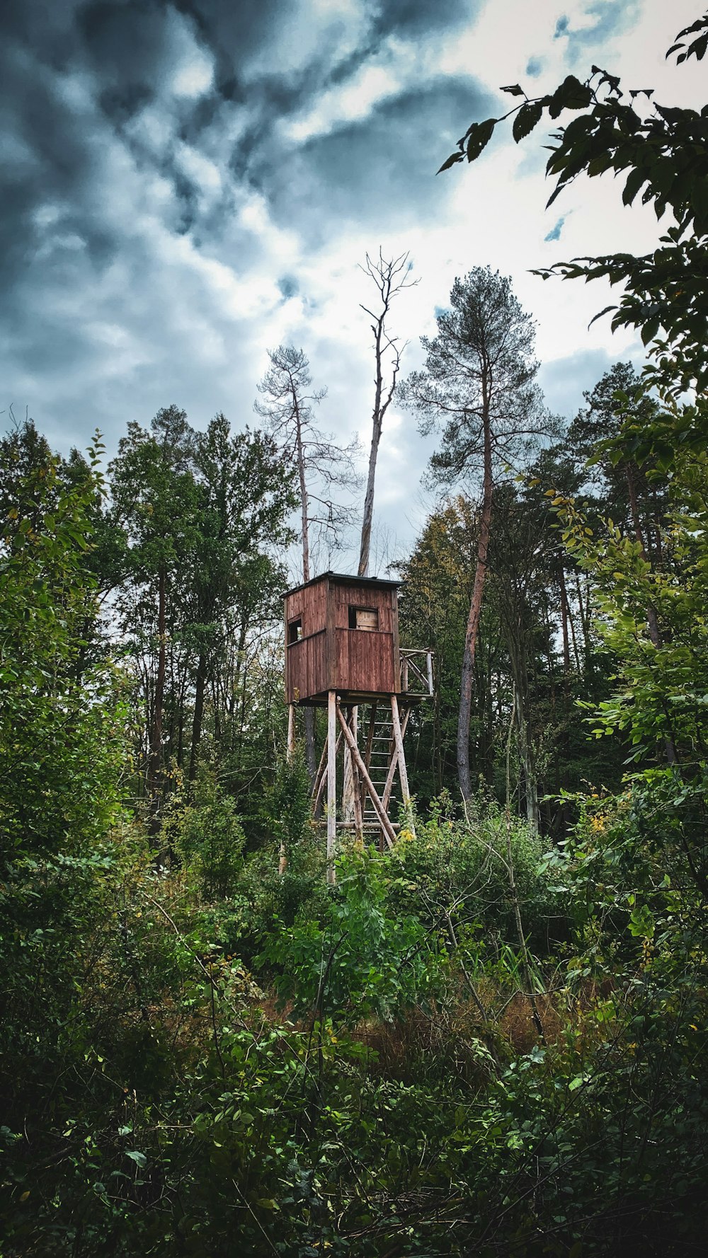 uma torre de madeira no meio de uma floresta
