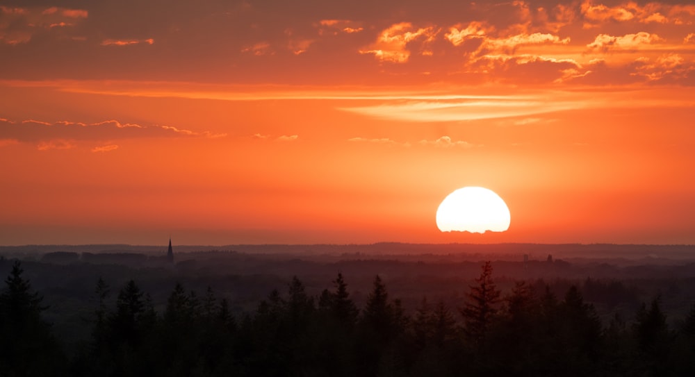 a sunset over a forest