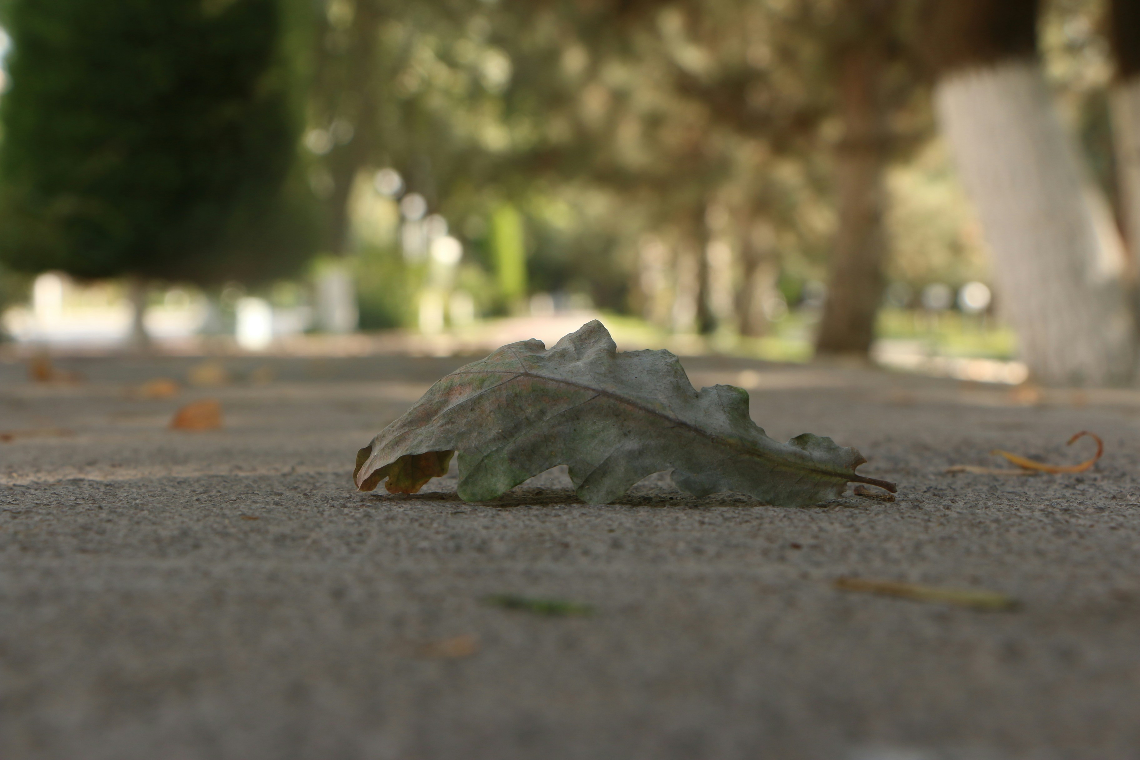 Photo by boburmavlonov