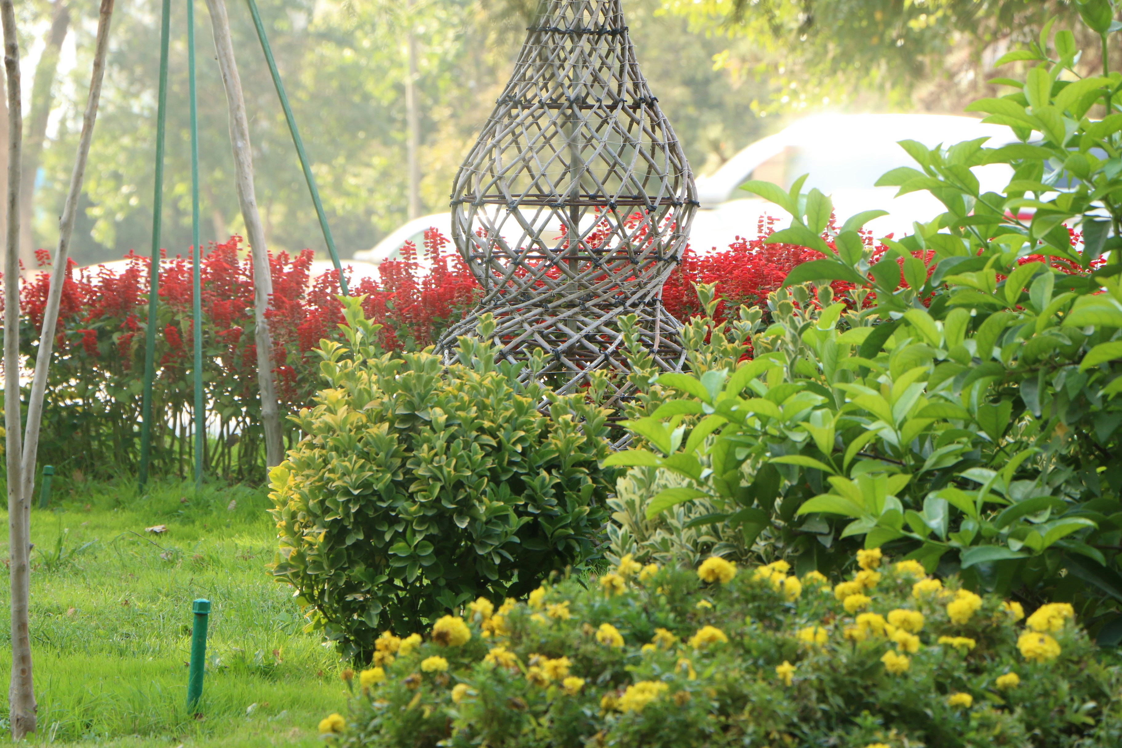 Photo by boburmavlonov