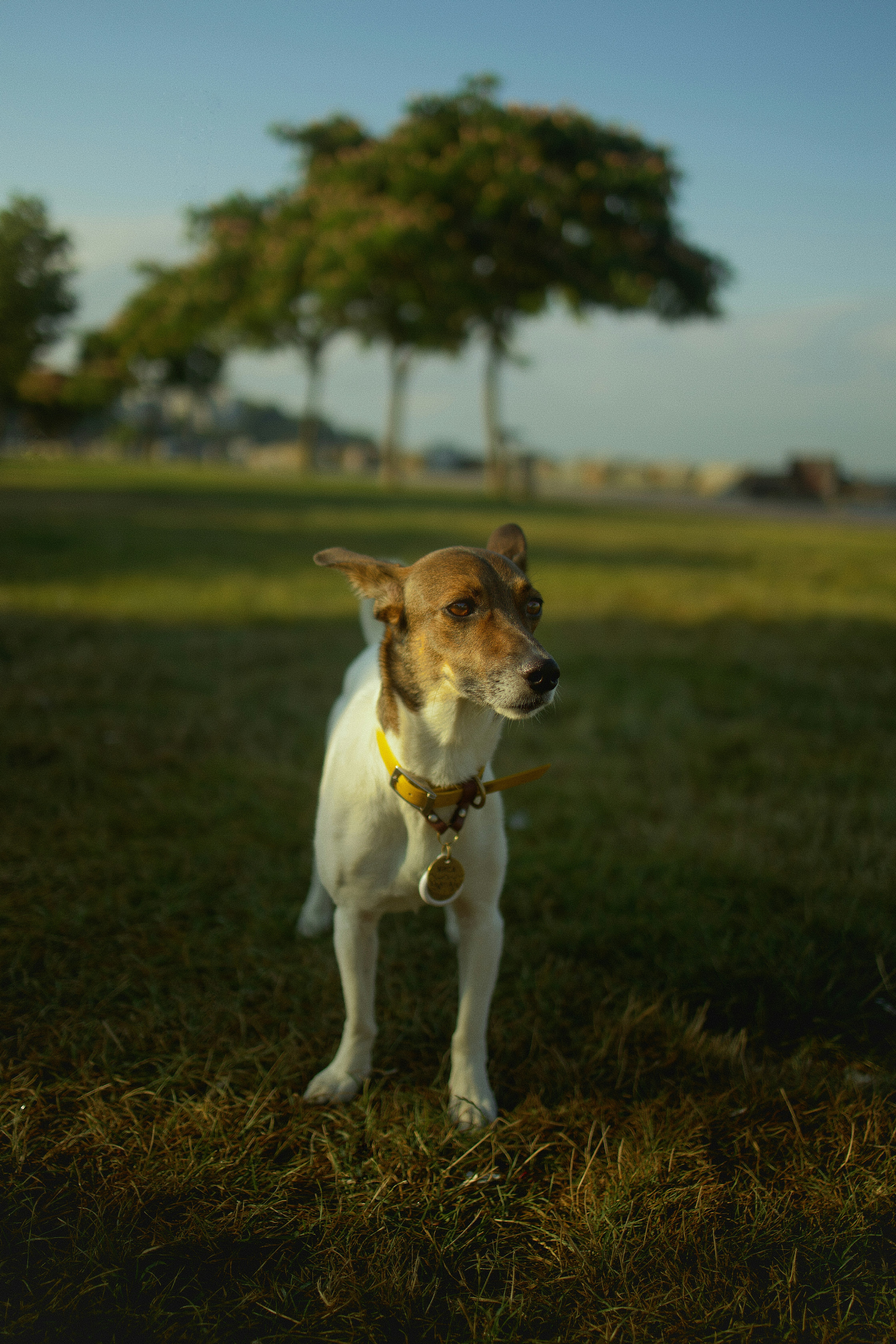 Photo by vadimkaipov