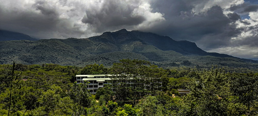 a building in the middle of a forest