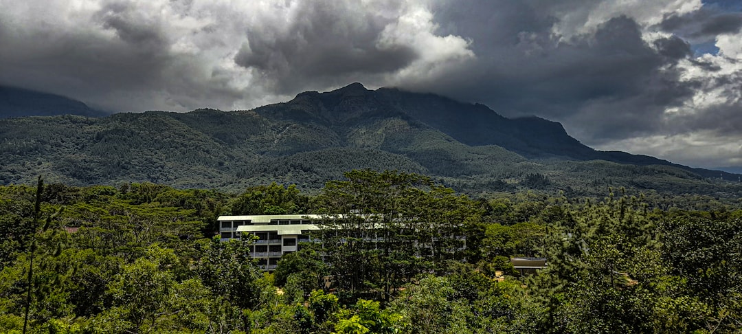 a building in the middle of a forest,